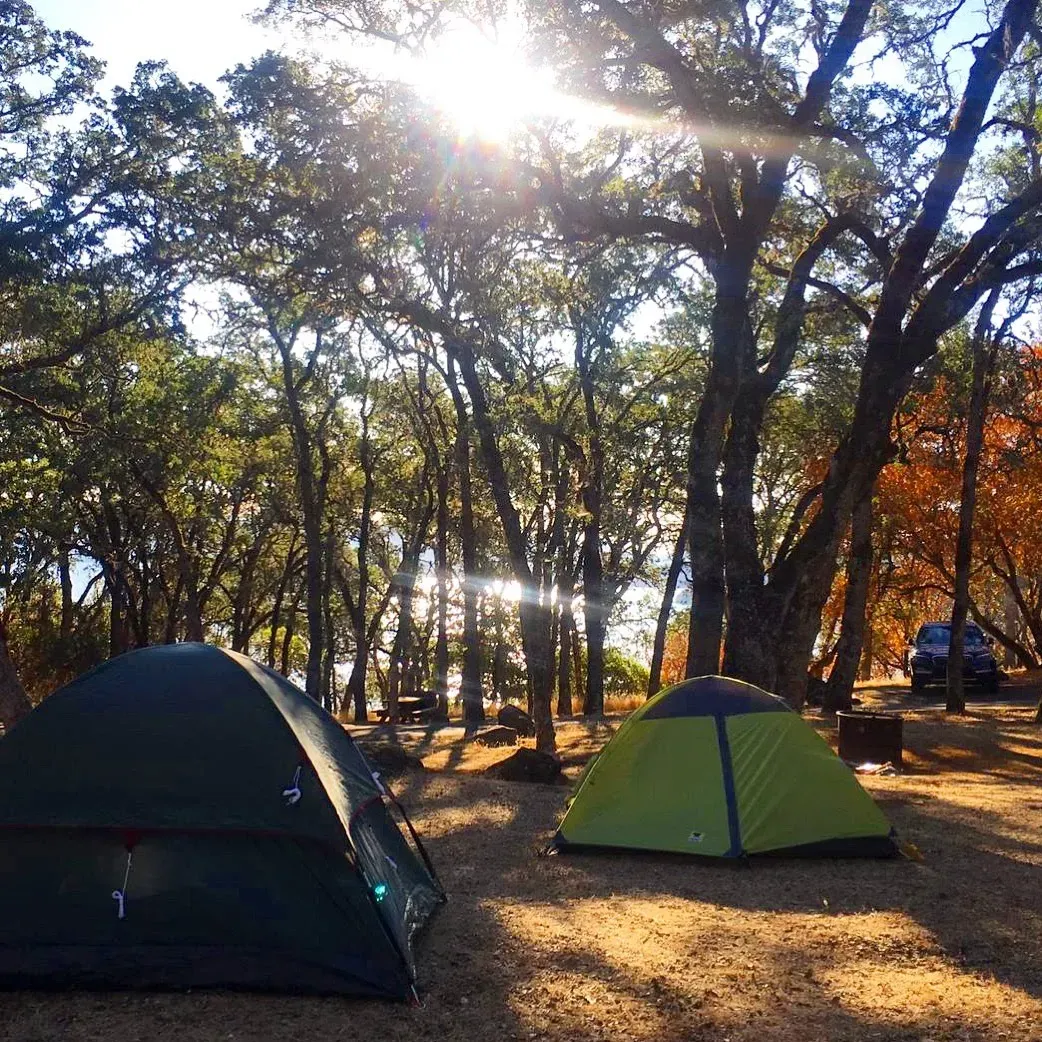 Upper Bayview Campground is a picturesque retreat offering an idyllic outdoor experience for nature enthusiasts and campers alike. Boasting spacious, well-maintained campsites, guests relish the tranquility and privacy, particularly in the coveted lot 121 on the outskirts, creating a serene escape from daily life. The campground's advantageous positioning ensures a delightful sense of seclusion, even when occupancy is at its peak during the quieter months like mid-May.

Visitors are treated to breathtaking wildlife encounters, with regular deer sightings adding a touch of magic to the camping experience. Nature trails surrounding the area are easily accessible and provide pleasurable hiking experiences that cater to all skill levels. These well-trodden paths offer campers the perfect opportunity to explore the local flora and fauna.

Upper Bayview Campground is favored over its counterpart, Lower Bayview, for its superior, less sloping terrain, enhancing guests’ comfort and enjoyment. Each campsite, including the sought-after lot 123, presents campers with a restful atmosphere for relaxation and reflection. For those seeking aquatic adventures, there is a leisurely walk from Upper Bayview down to the beach, where the clear waters invite for swimming or boating.

The campground also boasts a robust calendar of ranger-led programs, including engaging activities for younger guests through the junior ranger programs. These educational experiences provide an added value, fostering a deeper appreciation for the natural world amongst visitors of all ages.

Campsite #112 is especially revered for its stunning vistas, where, beyond the trees, the lake unfolds in all its glory. The slight premium for this and similar spots is often noted as well worth it by our happy campers. Moreover, the on-site park host receives high praise for their welcoming attitude and willingness to assist, ensuring every guest's stay is comfortable and enjoyable.

Those looking for a touch of modern convenience amidst the wilderness will appreciate the facility's hot showers - a comforting end to an adventurous day. The swimming area and boat launch nearby offer further recreational opportunities for water-loving campers.

Evenings at Upper Bayview Campground can be as spectacular as its days with opportunities to gaze at starlit skies, observe meteor showers, or even experience the drama of a thunderstorm from the shelter of the campground, all adding to the memorable moments that keep guests returning season after season. Description by ChatGPT.