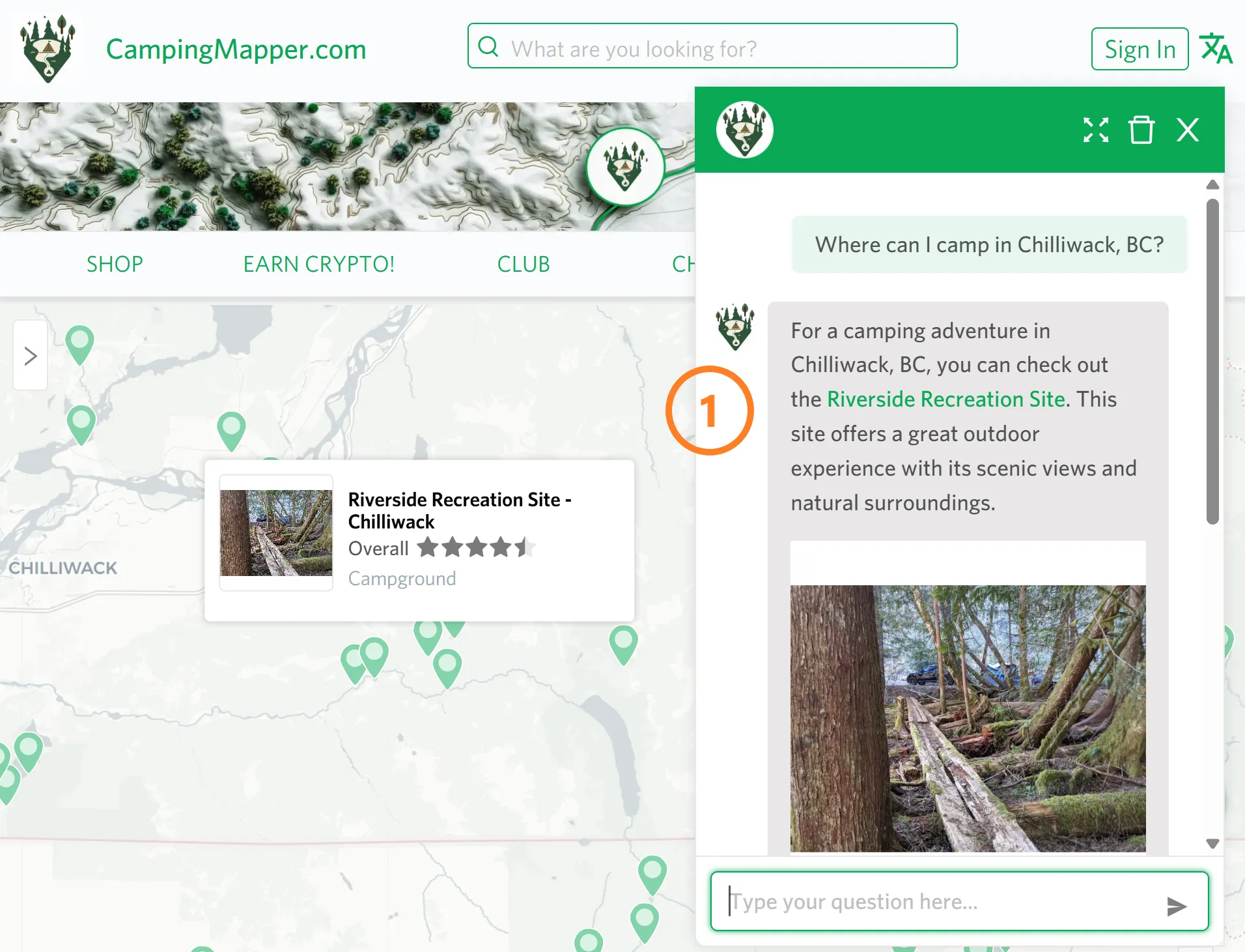 Meet the New AI Chat Manager for Social Shopping Sites!