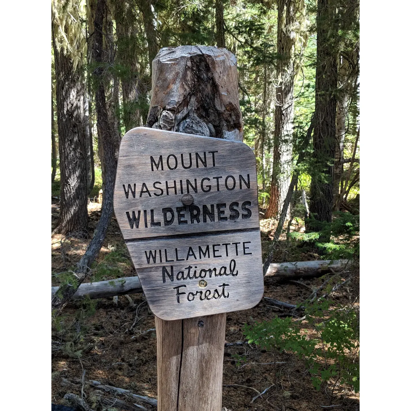 Scott Lake Campground presents an idylonic escape for nature lovers, adventure seekers, and families alike. Renowned for its picturesque landscapes, the campground offers a splendid outdoor experience characterized by panoramic views of The Sisters mountains that leave visitors in awe, especially during serene moonlit nights. 

The area is a haven for those wishing to immerse themselves in natural beauty and tranquility, with secluded campsites that promise a sense of privacy and connection with the environment. Ideal for hiking enthusiasts, the rewarding treks to these prime camping spots are part of the allure, unveiling breath-taking vistas as the reward for a little extra effort.

Dog owners will find Scott Lake Campgrounds the perfect retreat for themselves and their furry companions with wide-open spaces and scenic surroundings to enjoy. The plateau beckons those with a thirst for exploration, offering a blend of remarkable beauty and a touch of history that invites curiosity.

Water enthusiasts can look forward to an exquisite experience on the water, as the campground is a prime spot for visitors with non-motorized boats. The pristine lake provides a peaceful and safe haven for paddling and other water activities, allowing for undisturbed enjoyment of the natural aquatic environment.

Families and boondocking adventurers have placed Scott Lake Campground on their list of top locations, as it proves to be exceptional for building unforgettable memories. Whether it is the undisturbed view of the mountains, the crystal-clear lake, or simply the silent whispers of nature, guests consistently laud its remarkable beauty.

Adding to the campground's charm is its versatility as a venue for special events. With its enchanting setting, it's no surprise that even weddings find a picturesque backdrop here.

A visit to Scott Lake Campground is highly recommended, with guests frequently noting it as a must-visit location. It stands as a cherished spot that offers a blend of adventure, relaxation, and scenic splendor that resonates with anyone who has the privilege of staying. Description by ChatGPT.