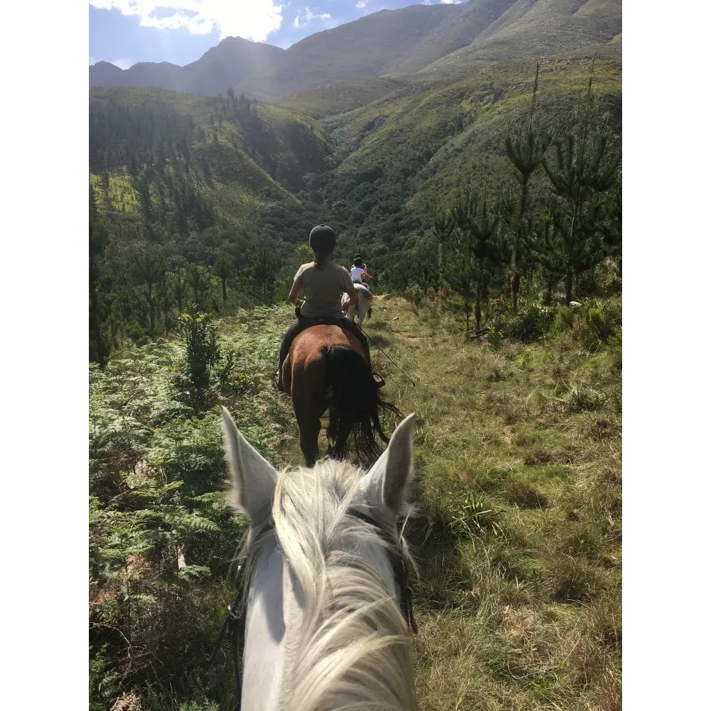 Embark on a memorable equine adventure with Equine Encounters and Trail Rides, where the beauty of horseback riding blends seamlessly with the breathtaking scenery awaiting discovery. Under the expert guidance of Lissa, a guide with a warm personality and a deep connection with each of her well-loved horses, you can expect an experience that caters to both your comfort and sense of thrill. Whether you're an experienced rider or saddling up for the first time, the horses' calm and obedient nature will instill confidence and ensure a safe journey. 

Families and individuals alike sing praises of the personalized attention provided by Lissa, who has a keen eye for matching each rider with the perfect horse, amplifying the sense of safety and enjoyment throughout the ride. Children, in particular, find delight in these excursions and look forward to the next opportunity to trot along the trail.

Nature aficionados will appreciate the route that meanders through the awe-inspiring Overberg mountains, featuring a tapestry of streams, lush forests, and elevated prospects offering stunning panoramic views. Each ride becomes an unforgettable adventure, leaving guests with a deep appreciation for the serene landscapes and a heartening desire to return.

Accessibility is also applauded, with visitors confirming that the journey to this haven of natural beauty and equestrian charm is manageable even for smaller vehicles. It's the perfect retreat for those looking to disconnect from the hustle and reconnect with both nature and the noble horses that lead the way.

With a commitment to outstanding communication, Lissa ensures that all inquiries are addressed promptly via email, reflecting the operation's dedication to customer service excellence. Positive experiences resonate through the glowing recommendations of many who have taken the reins at Equine Encounters and Trail Rides, all thanks to Lissa's passion and the gentle spirits of her four-legged companions. Description by ChatGPT.