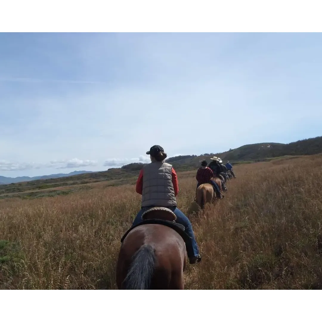 Montana De Oro Horse Camp is a breathtaking equestrian paradise that has captured the hearts of horse enthusiasts from all corners of the globe. This premier camping destination is renowned for offering a seamless fusion of pristine wilderness and superior amenities tailored for the equestrian community.

As you enter Montana De Oro Horse Camp, you're welcomed by the vast, open spaces that promise both adventure and tranquility. The camp's sprawling grounds are impeccably maintained, providing a safe and inviting environment for both horse and rider. Each campsite is thoughtfully designed to ensure comfort and convenience for guests, equipped with ample space for horses to roam and relax.

Riders of all levels will find themselves enchanted by the camp's extensive network of trails that traverse through some of the most stunning landscapes nature has to offer. As you journey through the trails, you're guaranteed to be mesmerized by the spectacular views that unfold around every bend, creating a truly magical experience.

The camp takes pride in its exceptional facilities, including well-appointed corrals that guarantee the utmost in equine comfort. The campsites are also equipped with modern amenities that allow for a delightful camping experience that feels both rustic and luxurious. Expert staff are always on hand to ensure that both horses and their owners have everything they need for a memorable stay.

Montana De Oro Horse Camp's community atmosphere is highlighted by its shared love for horseback riding, nature, and camaraderie. Guests often gather around evening campfires, where stories and experiences are exchanged against a backdrop of starlit skies and the soothing sounds of nature.

The camp's commitment to excellence is reflected in its dedication to preserving the natural beauty of the area while providing an unparalleled guest experience. It's not just a destination; it's a treasured getaway where lifelong memories are forged on horseback, making it a place that many refer to as their favorite place in the world. Description by ChatGPT.