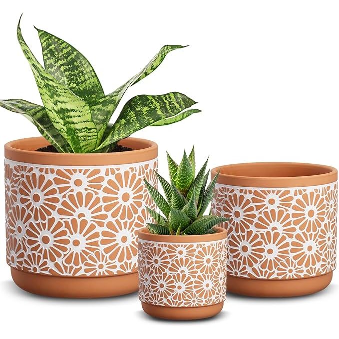 Create a beautiful display of your favorite plants with this versatile 3-pot set. Made of high-quality red clay, these pots provide the perfect environment for your plants to thrive, with excellent air permeability.