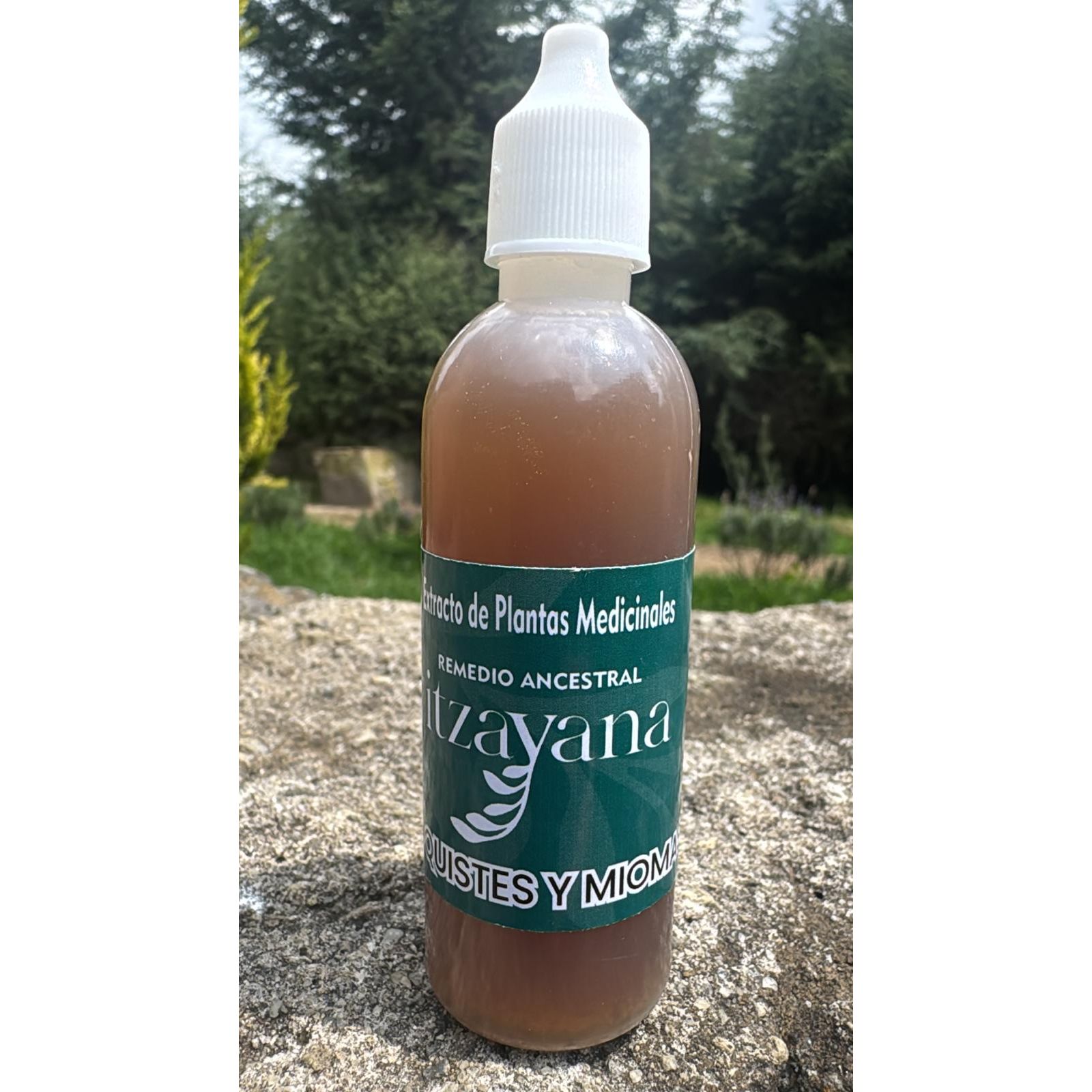 Discover ITZAYANA, the tincture specially formulated to provide support in the treatment of cysts and fibroids. This blend of natural ingredients is an homage to Mexican herbal wisdom, designed to cleanse the womb and regulate the menstrual cycle effectively and safely.