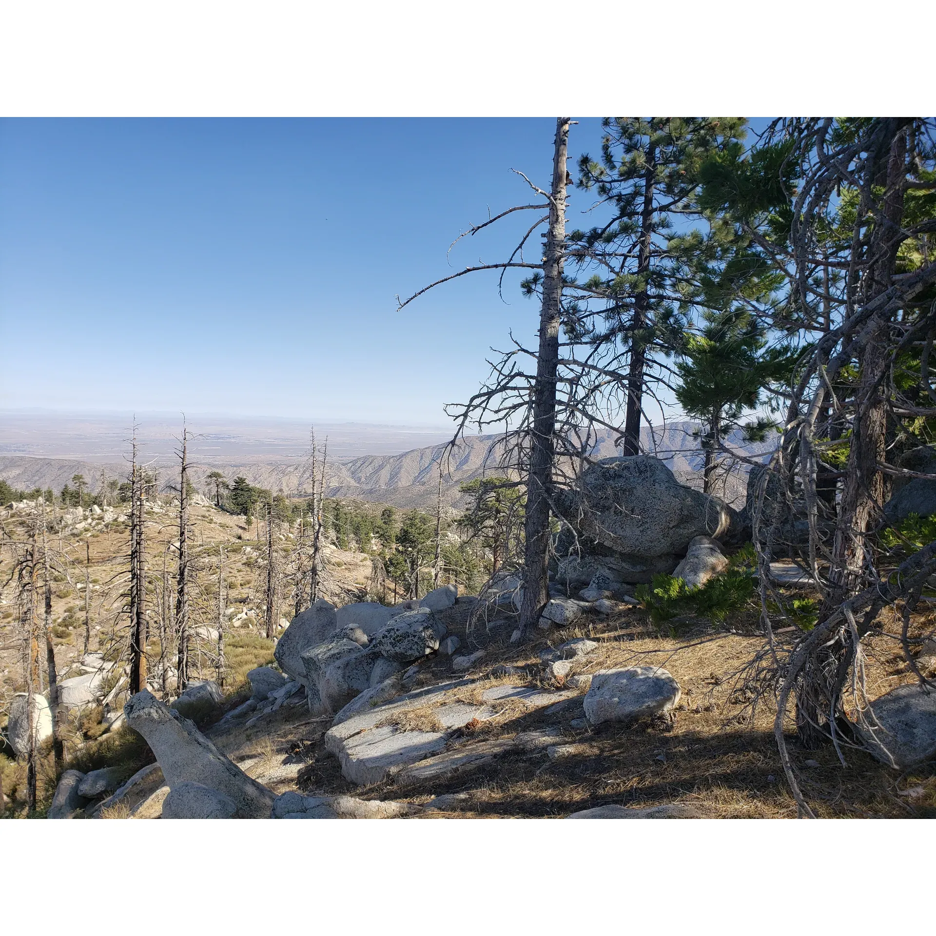 Mt. Pacifico Campground offers a serene and secluded outdoor experience that invites adventurers and nature enthusiasts to enjoy the splendor of the wilderness. With its unparalleled panoramic views and tranquil atmosphere, this destination is a hiker's and mountain biker's paradise, boasting clear skies that make for spectacular sunsets and starry nights.

The remote campsite presents a variety of spacious areas suitable for pitching tents, surrounded by majestic pine trees and natural rock outcrops that provide shelter from the wind, creating cozy, private spots for campers. Despite recent challenges, the campground is maintained to ensure that accessibility is upheld, with continuous improvements to the road and facilities indicating an ongoing commitment to enhancing the camper experience.

Visitors to Mt. Pacifico Campground can look forward to a peaceful escape with opportunities to enjoy the great outdoors undisturbed. The campground's elevated location ensures cooler temperatures than the valley below, offering a refreshing retreat during the warmer months. The landscape around the campsite is an outdoor playground, ideal for those who find joy in off-the-beaten-path adventures.

While staying at Mt. Pacifico Campground, hikers can traverse the surrounding trails, and cyclists can challenge themselves on the sandy ascents. Campers are encouraged to arrive prepared, packing ample water and other essentials, although water refills are available at the nearby Mill Creek Station for added convenience.

For those who simply wish to soak in nature's beauty, the campground is a perfect spot to witness awe-inspiring sunsets that paint the sky in vibrant hues. Whether you are looking for a quiet place to reconnect with nature or an exciting adventure through rugged terrain, Mt. Pacifico Campground welcomes you to create lasting memories in this unique and picturesque setting. Description by ChatGPT.