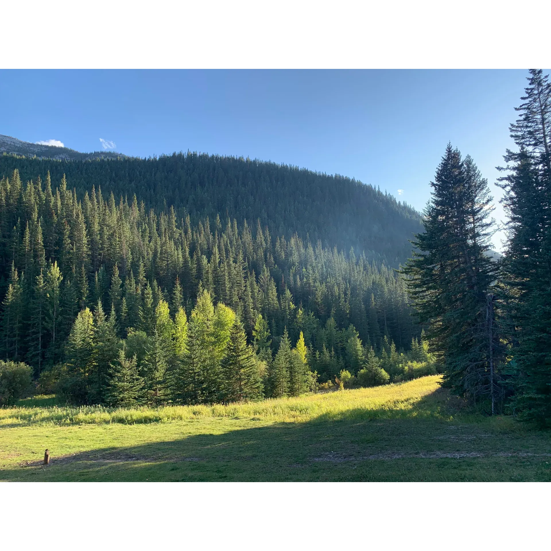 Quaite Valley Backcountry Campground offers a serene and welcoming retreat for both experienced and beginner backcountry campers. Tucked away in a picturesque setting, the campground presents an array of well-maintained trails, inviting adventurers to explore the natural beauty that surrounds them. Guests commend the campground’s ample provisions for safety and convenience, including bear lockers to safely store food and belongings, ensuring a respectful coexistence with the local wildlife.

The campsites are well-equipped and maintained, featuring an array of amenities that enhance the outdoor experience. Ample firewood is readily available for campers, along with an axe, facilitating the creation of a cozy campfire atmosphere. The communal fire circle with seating becomes a hub of camaraderie and storytelling, while several picnic tables scattered around the ground offer spaces for gatherings and meals in the great outdoors.

The campground is also acknowledged for its accessibility, with easy-to-navigate access points that cater to those embarking on their first backcountry adventure. Once at the campsite, guests have access to facilities that are considerate of the environment, such as outhouses that are kept in satisfactory condition. Campers are reminded to bring extra toilet supplies to ensure comfort and preparedness.

Visitors appreciate the easy access to water which, while requiring filtration or boiling, is conveniently located right across the campground. This detail allows for a worry-free stay, ensuring hydration is never an issue. The natural sprawling meadow adjacent to the campsite offers a vast open area for recreation and leisure, providing an idyllic setting for both children and adults to enjoy.

The campground is praised for its tranquility, particularly after dark when it becomes enveloped in a peaceful silence. Even in winter, the campground maintains its charm, presenting a lovely destination year-round for those looking to escape the bustle and enjoy a scenic, well-spaced retreat. Additionally, the varied scenic hikes that set off from this location cater to different levels of challenge, making it a versatile base for outdoor enthusiasts. 

Quaite Valley Backcountry Campground is not just a place to stay; it's an opportunity to disconnect, immerse oneself in nature, and create memories in a pristine and hospitable environment. Description by ChatGPT.