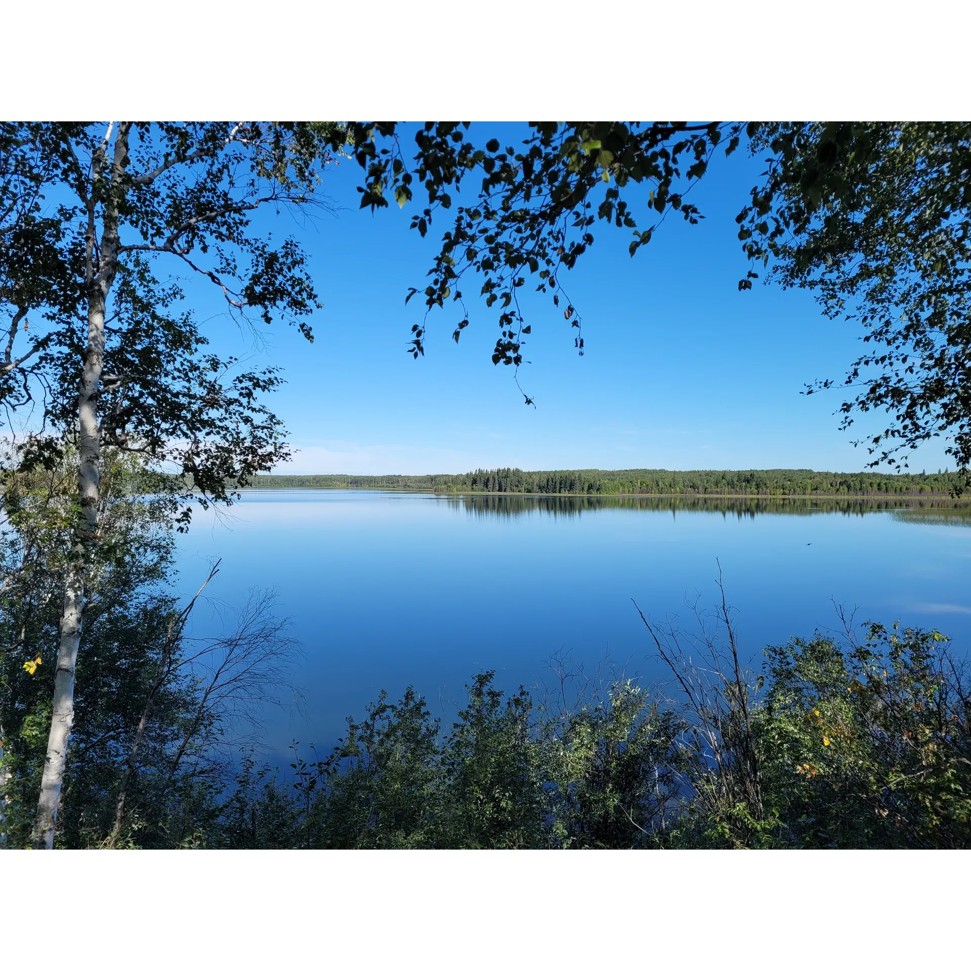 Chump Lake offers an idyllic escape for outdoor enthusiasts seeking serenity and natural beauty. With its breathtaking landscape, the area boasts a tranquil setting that is perfect for those looking to unwind amidst great scenery in a quiet location. The pristine lake at the heart of this destination is flanked by lush forests, providing a picturesque backdrop for campers and a haven for nature lovers.

Visitors to Chump Lake can look forward to a secure camping experience with well-maintained facilities, ensuring a comfortable stay. The clean outhouses are a testament to the care taken to preserve the campground's pristine condition. This commitment to cleanliness and safety allows guests to relax and enjoy their surroundings worry-free.

For adventurers, Chump Lake is a dream come true. It hosts an array of excellent quading and dirt biking trails that cater to all levels of experience, ensuring a thrilling ride through the scenic wilderness. Whether you're navigating the trails or simply soaking in the sun by the lake, there's an activity to suit every outdoor preference.

Overall, Chump Lake is a fantastic campsite that offers a unique blend of tranquility, adventure, and natural splendor. It is an ideal year-round destination for those looking to disconnect from the hustle and bustle and reconnect with nature. Description by ChatGPT.