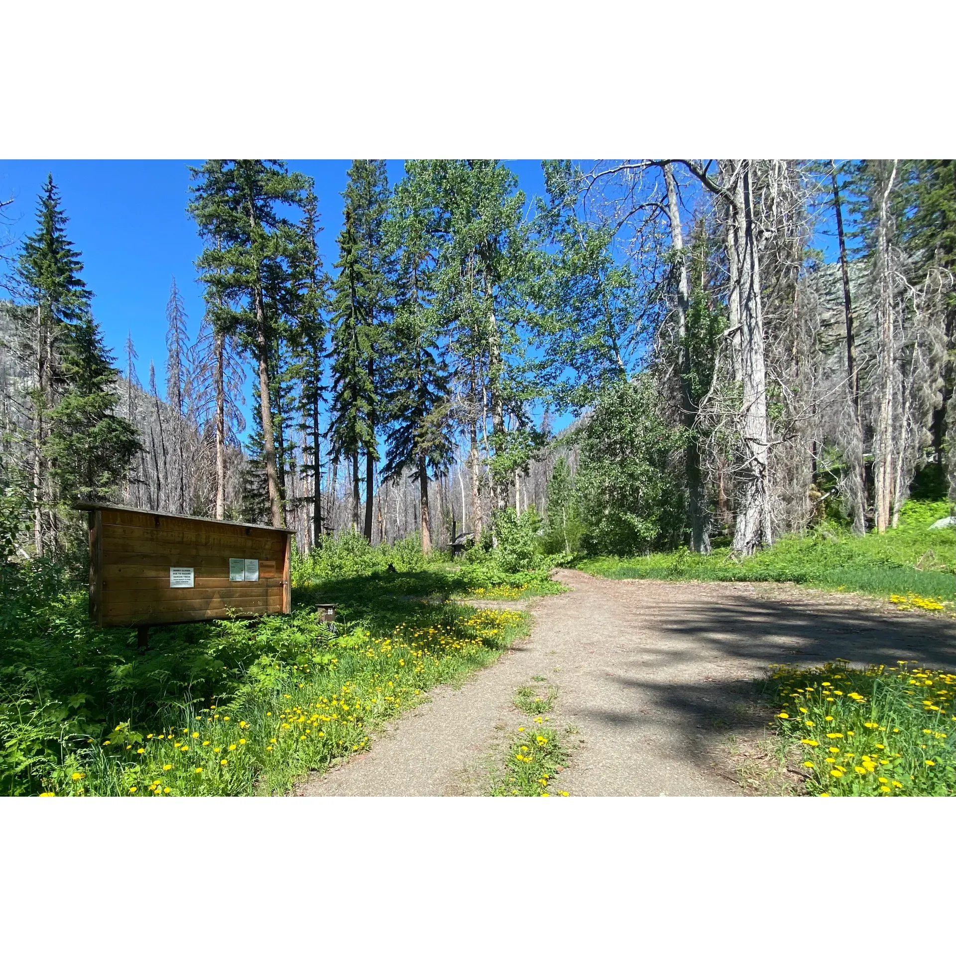 Located amidst the serene wilderness, Roads End Campground offers a tranquil escape from the hustle and bustle of daily life. Set against a picturesque backdrop, this campground provides an authentic outdoor experience for those adventurers who appreciate a more secluded setting. Although a significant distance from the nearest town of Twisp, the 40-minute drive is a small price to pay for the sheer beauty and tranquility that awaits visitors.

With various campsites available, Roads End Campground caters to outdoor enthusiasts looking to immerse themselves in nature. While most of the spots offer a standard camping experience with the essential amenities, there is a particularly coveted site that offers an exclusive and direct access to the river, elevating the camping experience with its unique riverside charm. Here, the sounds of flowing water create a peaceful ambiance, perfect for disconnecting from the world and reconnecting with nature.

Visitors who are fortunate enough to secure this prime location can look forward to the soothing atmosphere, where the gentle murmur of the river complements the canopy of stars above, promising an unforgettable stay. Whether you're looking to relax, fish, hike, or simply soak in the untouched natural surroundings, Roads End Campground is celebrated by many as one of their all-time favorite camping destinations. It is an ideal spot for those who cherish the simple joys of outdoor living and the rare opportunity to find solenade in a place where the road ends and the adventure begins. Description by ChatGPT.