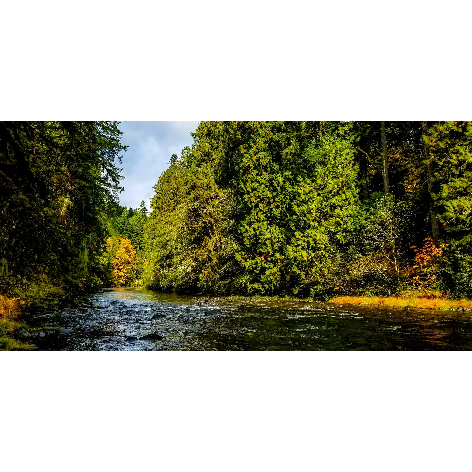 Three Bears Recreation Site offers an idyllic escape for family camping adventures. With its prime location along the tranquil Molalla River, this quaint campground provides an excellent setting for water activities. The river, being chest-high and gentle in June, is wonderfully suited for swimming, as well as for small family kayaks and paddleboards. The ambiance at Three Bears Recreation Site is further enhanced by the availability of regulated campfires within designated rings, adding to the authentic outdoor experience.

Each of the campsites is equipped with a picnic table, allowing for enjoyable outdoor dining with family and friends. The sites are thoughtfully spaced out, ensuring a sense of privacy and tranquility, which is cherished by campers. Sites 4 & 6 stand out for their generous size, able to accommodate multiple tents, making them perfect for larger gatherings.

Clean facilities are conveniently located within a short walk from the campsites. The vaulted toilets are well-maintained, ensuring basic comforts in the midst of nature. Although the campground operates on a park and hike basis, the proximity from the parking area to the campsites is reasonable, providing an easy transition to the camp environment.

Visitors will find Three Bears Recreation Site to be a serene haven, where distractions are minimized and natural harmony is prioritized. The lack of cell service invites guests to unplug from electronic devices and engage fully with their surroundings. The park-like setting is ideal for children and dogs to explore freely and safely.

The commitment to sustainability is evident as campers are encouraged to follow the 'pack in, pack out' principle, ensuring the natural beauty of the site is preserved for future generations. With its friendly atmosphere, clean amenities, and picturesque river access, Three Bears Recreational Site is truly a gem—a favorite destination among families looking to create lasting memories in the great outdoors. Description by ChatGPT.