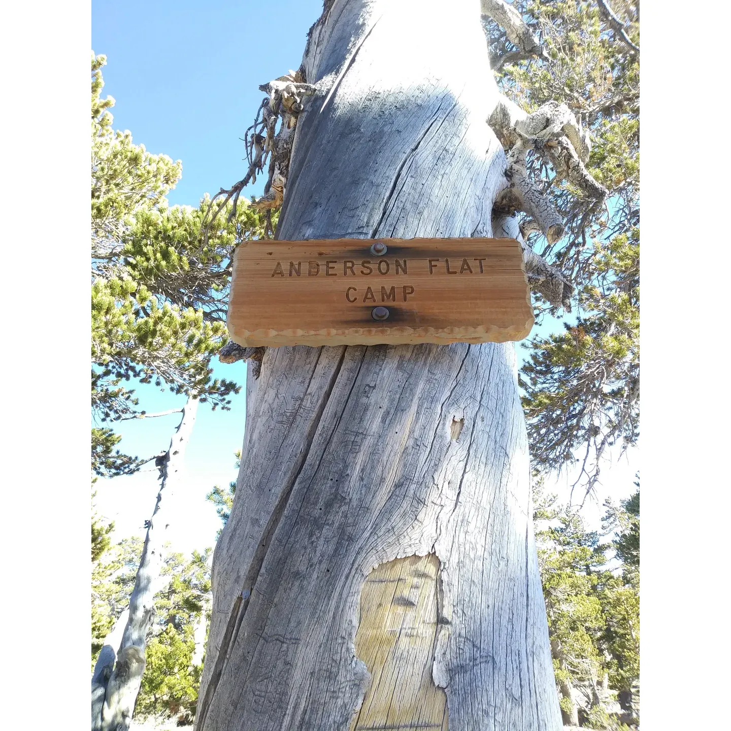 Perched atop a scenic hill overlooking the majestic expanse of Big Bear Lake, Anderson Flat Campground offers a serene outdoor experience with an impressive backdrop. The campground allows guests to savor the beauty of the surrounding area through the framing of stout and vibrant trees that dot the landscape. These short-statured trees provide a sense of openness and a clear view of the sky, reducing the concern of overhead hazards while still accentuating the natural environment.

Visitors to Anderson Flat Campground are treated to a unique vantage point where the grandeur of the lake and the surrounding terrain unfolds before them, offering a picturesque setting perfect for photography enthusiasts and nature lovers alike. The relative openness of the campground encourages social interaction and communal experiences among campers, as the layout promotes a friendly, open-air atmosphere.

Just a short hike away, the path leads adventurers to the Trail Fork Springs junction, where a nearly ice-capped spring serves as the local water source. The proximity to this natural feature adds an element of wilderness adventure to the camping experience, inviting guests to explore and engage with the pristine environment as they collect fresh water.

Although the spring's water may not flow abundantly year-round, its presence near the campground is a reminder of the rugged yet accessible nature that Anderson Flat Campground provides. For those seeking even more dramatic vistas, the nearby Trail Fork Springs campsite is a splendid option with equally accessible water and enhanced panoramics.

Anderson Flat Campground is an ideal getaway for those seeking a refreshing outdoor experience with arresting views and a sense of community, all within the enchanting embrace of the great outdoors. Whether you're gazing out at the sparkling waters of Big Bear Lake, embarking on a trailside quest for water, or just enjoying the company of fellow campers under a canopy of sturdy trees, this campground promises an invigorating escape from the everyday. Description by ChatGPT.