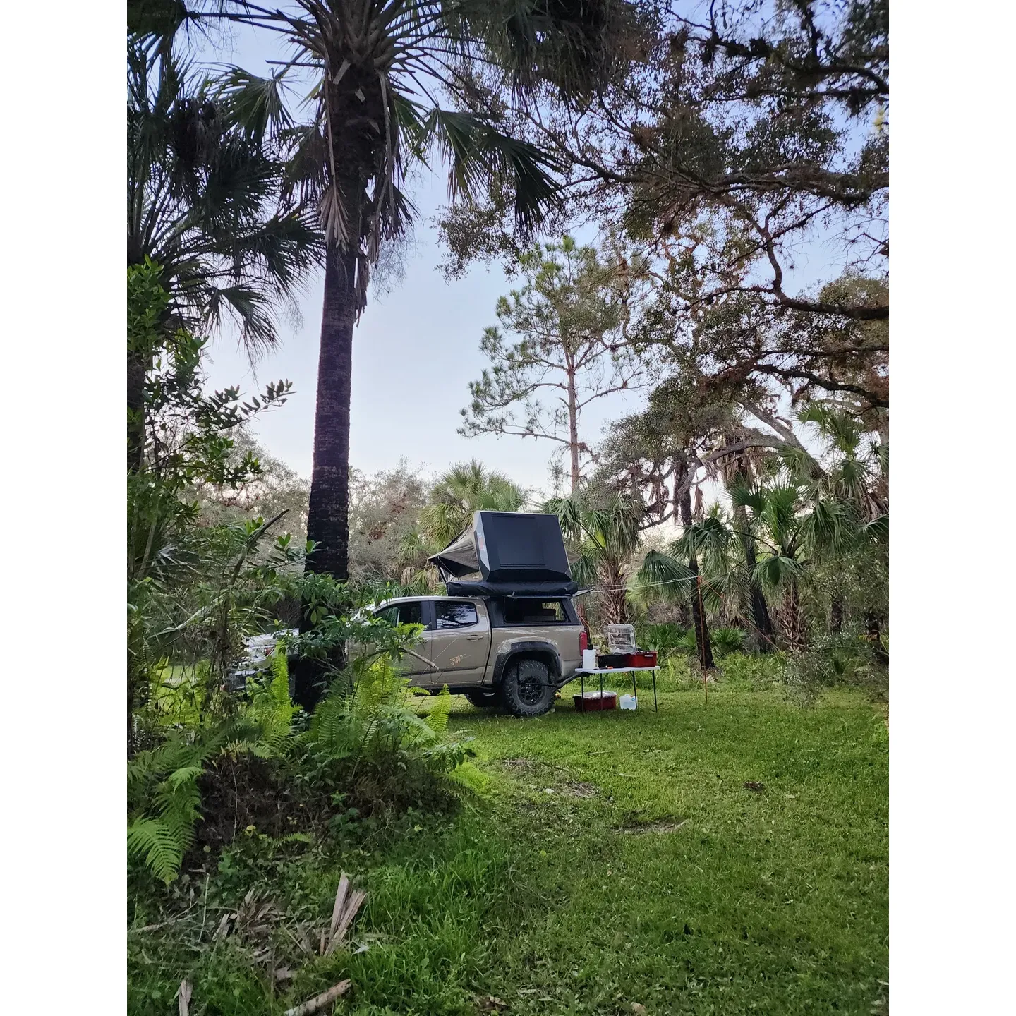 Pink Jeep Campground emerges as a pristine, tranquil oasis for camping enthusiasts and nature lovers alike. Visitors will find solace in this beautiful hideaway, where the sprawling, untouched landscapes of the everglades provide a serene backdrop that seems to stretch endlessly. The campground presents an array of secluded spots, offering guests the opportunity to immerse themselves in an undisturbed natural environment, perfect for those seeking a peaceful retreat away from the bustle of everyday life.

This campsite is meticulously maintained, ensuring that each visitor is greeted by a clean and welcoming space upon their arrival. Campers can revel in the purity of their surroundings, where the only footprints they'll leave behind are in the soft earth, temporarily marking their journey. Pink Jeep Campyard prides itself on fostering an environment that resonates with the harmonious sound of rustling leaves and distant wildlife, rather than the clatter and clamor of crowded tourist spots.

One of the unique charms of this campground is the delightful availability of wild fruit, ready to be picked by those who wander its paths. The experience of foraging for nature's sweet offerings adds an element of adventure and surprise to every visit, allowing guests to connect with the land and enjoy the fresh, natural bounty it provides.

Whether setting up a tent under the clear, star-studded skies or embarking on a serene walk through the scenic trails, Pink Jeep Campground is a beautiful place to camp and a true paradise for those looking to escape into the wilderness. Every stay here is an idyllic getaway that promises tranquility, beauty, and a reconnection with the great outdoors. Description by ChatGPT.