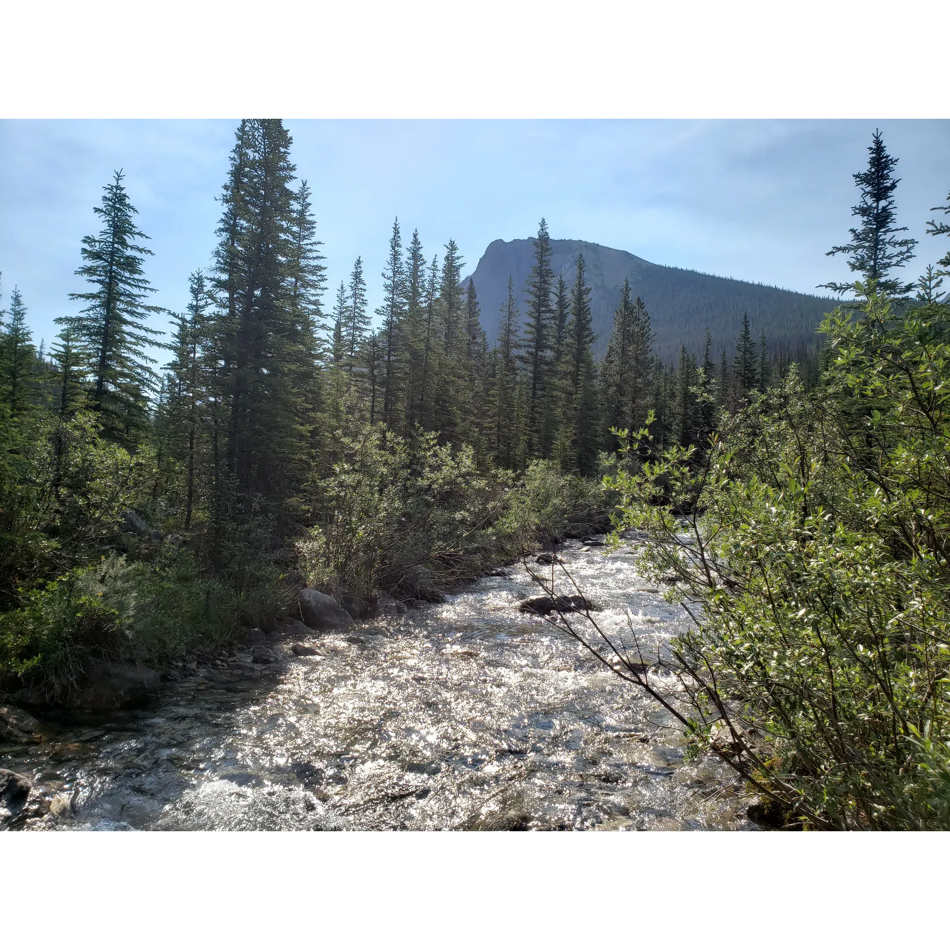 Utopia Creek is an awe-inspiring destination acclaimed for its exceptional hiking terrain that promises an unforgettable adventure for outdoor enthusiasts. The breathtaking landscapes, with their pristine beauty, offer a myriad of trails that cater to both novice and experienced hikers, each promising a unique journey through nature's splendor.

Visitors are consistently captivated by the tranquil yet exhilarating atmosphere that Utopia Creek provides. The diverse paths wind through lush forests, alongside meandering streams, and up to majestic peaks, offering panoramic views that make every step worth the journey. The region's rich, diverse flora and fauna add to the immersive experience as hikers find themselves surrounded by the unspoiled wonders of the natural world.

The area is praised for its well-maintained trails, which ensure safety without compromising the raw and authentic feel of the wilderness. Each path leads to new discoveries, with occasional sightings of wildlife that delight nature lovers and photographers alike.

Hikers regularly note the sense of camaraderie and community among fellow trail-goers, creating a welcoming atmosphere that enhances the overall experience. The serene setting is often described as a perfect escape, where one can disconnect from the bustle of daily life and reconnect with the earth.

With its exceptional scenery and invigorating trails, Utopia Creek stands out as a premier hiking destination that receives acclaim for offering an enchanting experience that resonates long after the hike is over. It is a treasured gem for those seeking adventure, tranquility, and a touch of the sublime in their outdoor pursuits. Description by ChatGPT.