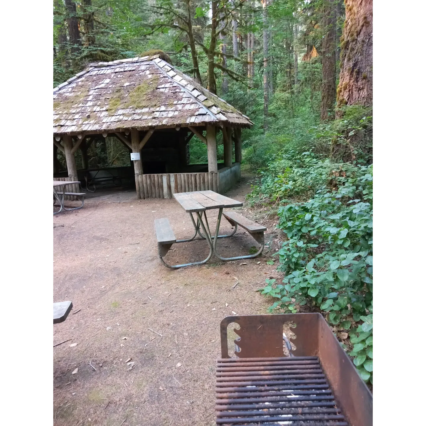 Trout Creek Campground is a cherished retreat that provides an exceptional outdoor experience within the lush surrounds of Willamette National Forest. It is an ideal sanctuary for those seeking to immerse themselves in nature's splendor. A paradise for water enthusiasts, the campground's crystal-clear waters are perfect for swimming, fishing, and even spotting crawfish, ensuring memorable aquatic adventures for visitors of all ages.

Families find it to be an excellent spot for creating lasting memories, with the campground offering accessibility to nature's playground, complete with an easy trail that leads down to the water. The presence of potable water sites and immaculately maintained bathrooms enhance the comfort of your stay. Day-users can also enjoy the well-appointed picnic areas, making it a great spot for family outings.

Trout Creek Campground's tranquil environment is complemented by its spacious and private campsites, allowing guests to relax in serene seclusion. The rangers' commitment to cleanliness and campground maintenance is evident, ensuring a welcoming atmosphere throughout the facility.

For hiking enthusiasts, the nearby trails offer quick and rewarding adventures with scenic water features, a bridge, and plenty of benches to rest and take in the views. The trails, accessible to all, include wheelchair-friendly paths that ensure everyone has the opportunity to partake in the natural beauty that the campground has to offer.

The opportunity for a peaceful retreat is the essence of the Trout Creek Campground experience, inviting guests to reconnect with the great outdoors and enjoy the simplicity of camping, fishing, and rafting in a setting that boasts of lush plant life and the soothing sounds of the river.

Advance reservations are recommended, especially for those desiring a site near the water. The proximity to the river provides a harmonious soundtrack to an invigorating stay – a true harmony of comfort and wilderness for all who visit. Description by ChatGPT.