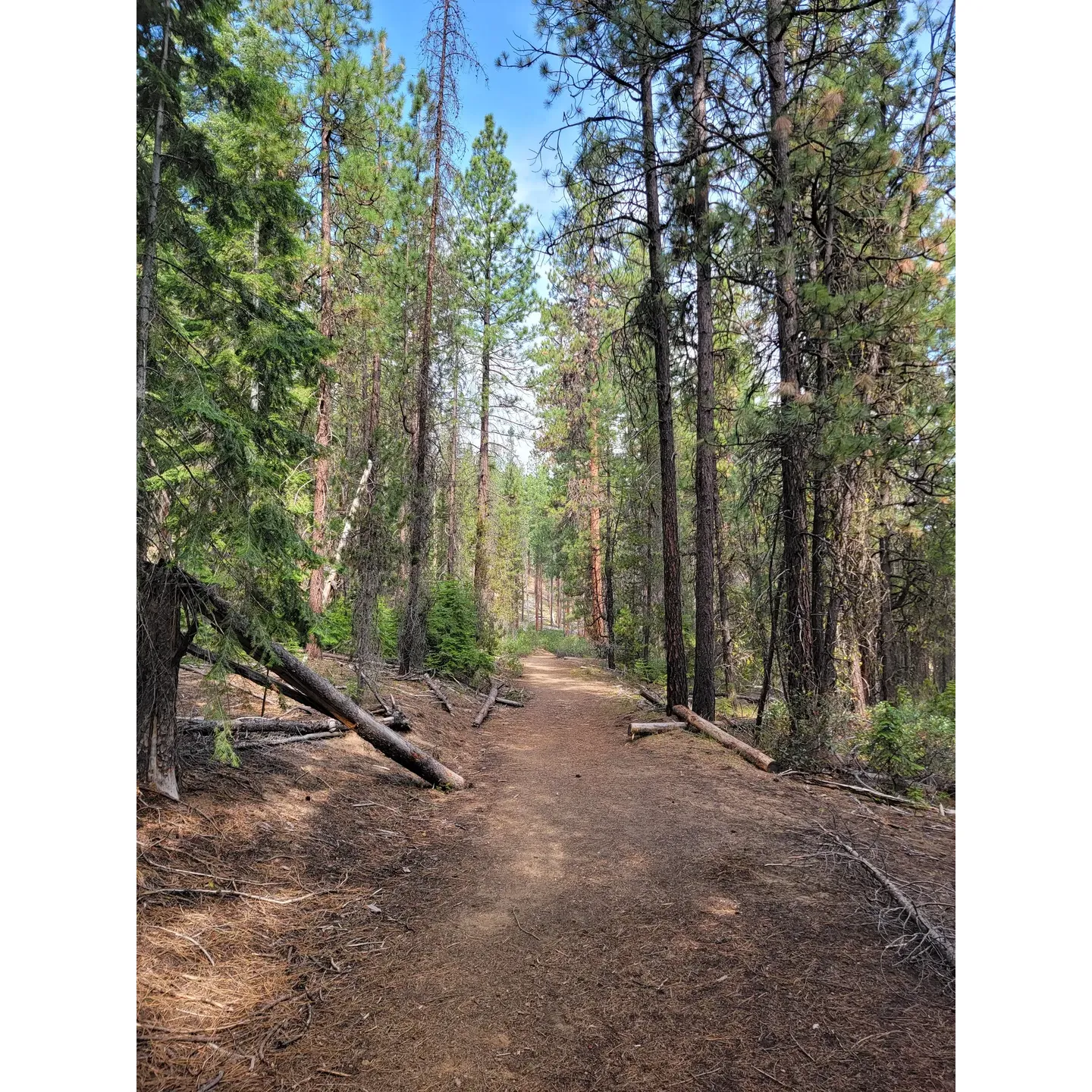 Located in the heart of Central Oregon, North Twin Lake Campground is a tranquil getaway for outdoor enthusiasts and families seeking a serene lakeside experience. This picturesque destination offers a pristine swimming lake, renowned for its ideal water temperatures by mid-summer, providing a refreshing escape on those balmy days.

The campground serves as a haven for paddlers and anglers alike, with a convenient boat launch specifically designed for kayaks, canoes, paddleboards, and other non-motorized watercraft. The absence of motorboats maintains the peaceful atmosphere, ensuring an uninterrupted connection with nature. Anglers can delight in the fishing opportunities, with the potential to observe majestic eagles and osprey soaring above, skillfully snagging their catch from the lake's clear waters.

A meticulously maintained campground awaits visitors, complete with spacious campsites that offer a sense of privacy and tranquility. The cleanliness of the facilities, including well-kept vault toilets, receives consistent praise and enhances the overall comfort of the camping experience. The proximity of campsites to the lake allows for easy access to a day filled with aquatic activities.

The sandy beach area near the boat launch presents an inviting space for families, where children can frolic in the sand while adults relax at nearby picnic tables under the cool canopy of shade trees. Finding the perfect spot along the shore is most amiable in the earlier hours or later afternoons, providing ample space to soak in the picturesque views.

For those looking to explore, the Twin Lakes Loop trail meanders through the campground, offering a scenic 4-mile journey around both North and South Twin Lakes, with gentle elevation changes suitable for all skill levels.

With nearby amenities like a local restaurant to satiate dining needs, North Twin Lake Campground is the ideal location for reconnecting with the great outdoors, whether it's through a peaceful kayak outing, a leisurely swim, or enjoying the company of friends on a memorable camping trip. Visitors eagerly anticipate their return, year after year, to this idyllic lakeside retreat. Description by ChatGPT.