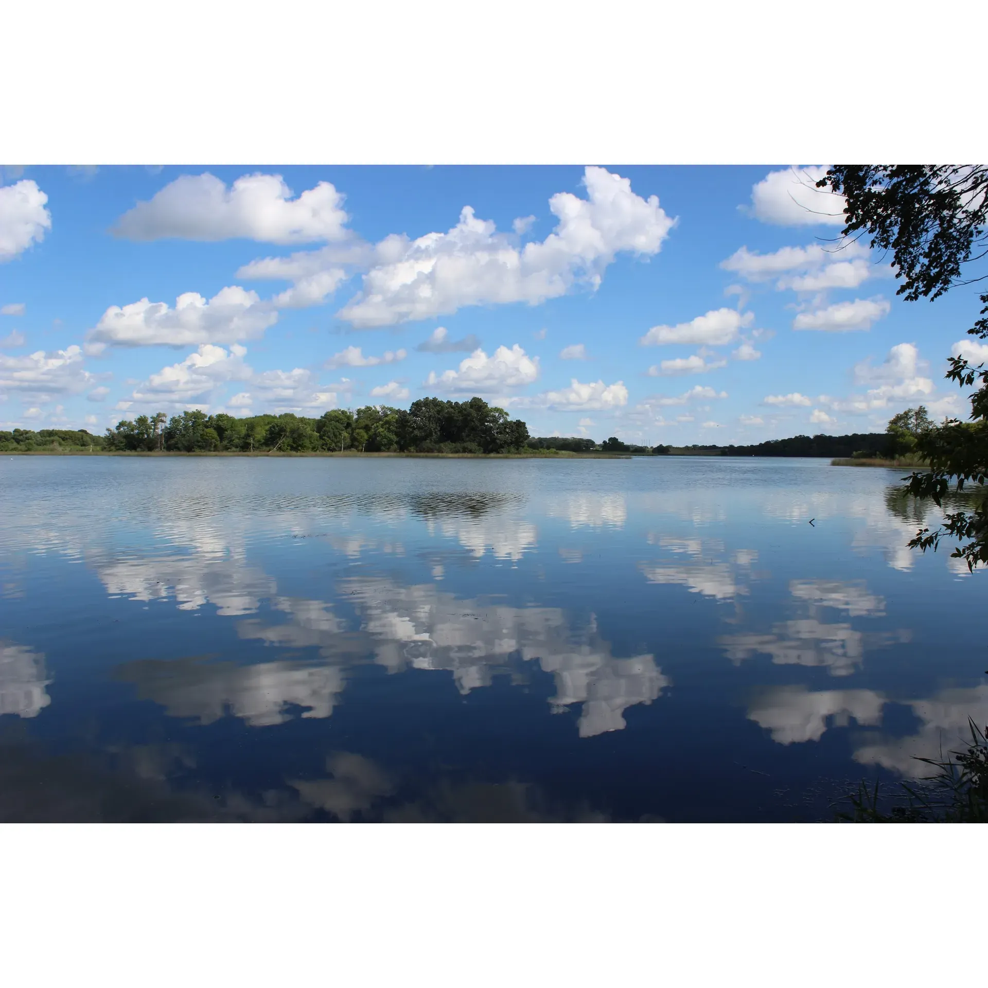 Monson Lake State Park serves as a tranquil retreat in the rolling landscapes of Central Minnesota, an idyllic destination for those seeking a serene connection with nature. The park offers spacious, tree-shaded campsites that provide ample privacy and room for relaxation, making it an ideal getaway spot for campers of all ages. Wildlife enthusiasts will be delighted by the diverse array of fauna that resides within the park, with the calm waters of Monson Lake offering a picturesque setting for kayaking adventures.

Visitors often comment on the park's cleanliness, particularly the well-maintained restroom facilities, enhancing the comfort of their stay. Though amenities may be modest, the park boasts a well-kept boat launch and fishing pier, perfect for anglers looking to reel in their next big catch. The quiet roads winding through the park double as an impromptu bike path for children, offering a safe space for leisurely rides.

For those who revel in the simplicity of outdoor activities, Monson Lake State Park provides a peaceful atmosphere for kicking back with a good book or engaging in park games. The singular hiking trail, albeit short, is a lovely trek that guarantees memorable sunsets and provides a gentle sojourn through the park's natural beauty. With thoughtfully spread-out campsites, the park assures a secluded ambiance for a genuinely rustic camping experience.

Just a stone's throw away from the busier Sibley State Park, Monson Lake State Park is a hidden gem offering a quieter alternative for visitors to unwind and relish the great outdoors. With its enchanting nature, the park remains a cherished spot for those looking to escape the hustle and bask in the tranquility of Central Minnesota's wilderness. Whether it's a weekend of fishing, kayaking, or simply enjoying the charm of a campfire under the stars, Monson Lake State Park catifies the essence of a classic camping adventure. Description by ChatGPT.