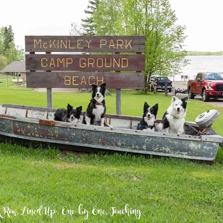 McKinley Park Campground emerges as a picturesque haven for outdoor enthusiasts seeking a blend of adventure and tranquility in the great outdoors. Guests revel in the impeccably maintained campsites that offer a refreshing retreat shaded by the natural canopy. The lavatories and shower facilities are frequently lauded for their cleanliness and order, ensuring a comfortable experience for all visitors.

Anglers and boating aficionados find solace in the good fishing and smooth canoeing conditions available on the serene lake. While swimming is thoughtfully regulated to designated areas to ensure safety and enjoyment, the waterfront still provides ample opportunity for guests to engage with the soothing aquatic environment.

Visitors are charmed by the convenience and utility of the campgrounds, noting the ready access to clean water sources and the ensuring the evening ambiance with the provided electric lights. The presence of a pavilion offers an ideal setting for group gatherings and socialising amidst nature's splendor.

Wildlife enthusiasts bask in the nocturnal symphony of loons and owls, while horticultural interests are piqued by an abundance of local flora, including an array of berries and wildflowers that add a pop of color and life to the pristine landscape.

The camping experience is further enriched by a range of amenities, including the relaxing lakeside beach, a welcoming and knowledgeable camp host, and a variety of recreational facilities that cater to families and outdoor lovers alike. Complemented by a playground for children and a dedicated fish cleaning station, McKinley Park Campground ensures that every member of the family can find joy and activity during their stay.

With thoughtfully arranged tent and RV sections, complete with fire pits and picnic tables, the campsites offer ample space and comfort. The tranquil evenings and the felt security contribute to an immersive natural getaway where one can relax and revel in the beauty of the outdoors.

Regular visitors testify to the impeccable service, affordability, and endearing attributes of the campground — an ideal spot to create lasting memories and indulge in the joy of camping. McKinley Park Campground stands out as a prime destination for those looking to escape the bustle of daily life and embrace the charming allure of nature. Description by ChatGPT.