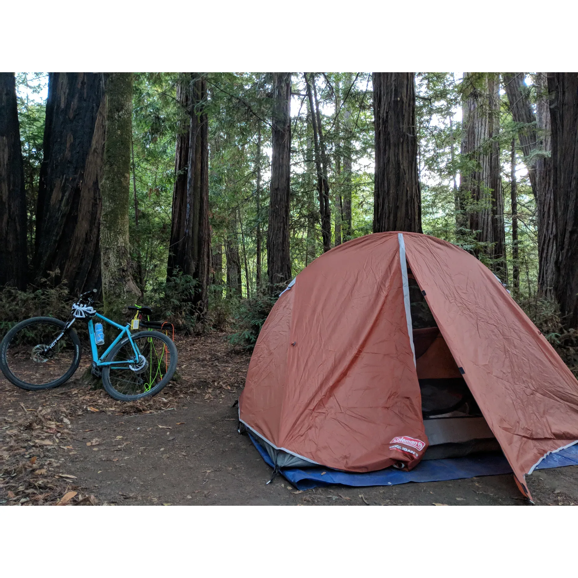 Shaw Flat Trail Camp offers a pristine outdoor experience for campers and nature enthusiasts alike. Here, you're provided with the essentials to ensure a comfortable stay in the midst of a wilderness adventure. The facility boasts well-maintained amenities such as real toilets, making it a step above the average backcountry site in terms of convenience. Moreover, the availability of nonpotable water and secure bear boxes adds an extra layer of ease and safety for visitors, so you can store your provisions with peace of mind.

Located in close proximity to a scenic park trailhead, Shaw Flat Trail Camp serves as the perfect basecamp for exploring the breathtaking surrounding landscape. The campsite's cleanliness is notable, providing a refreshing atmosphere after a long day's hike. Its position adjacent to a serene creek accentuates the natural tranquility of the setting. Additionally, the camp's accessibility makes it easy for hikers to venture out and immerse themselves in the surrounding wilderness.

Campers are encouraged to come prepared with insect repellent to maximize their outdoor enjoyment. With the right preparations, guests can comfortably revel in the beauty of Shaw Flat Trail Camp and all it has to offer. Whether you're seeking a peaceful retreat after an invigorating hike or a tranquil spot to reconnect with nature, this campsite provides a lovely backdrop for your outdoor adventures. Description by ChatGPT.