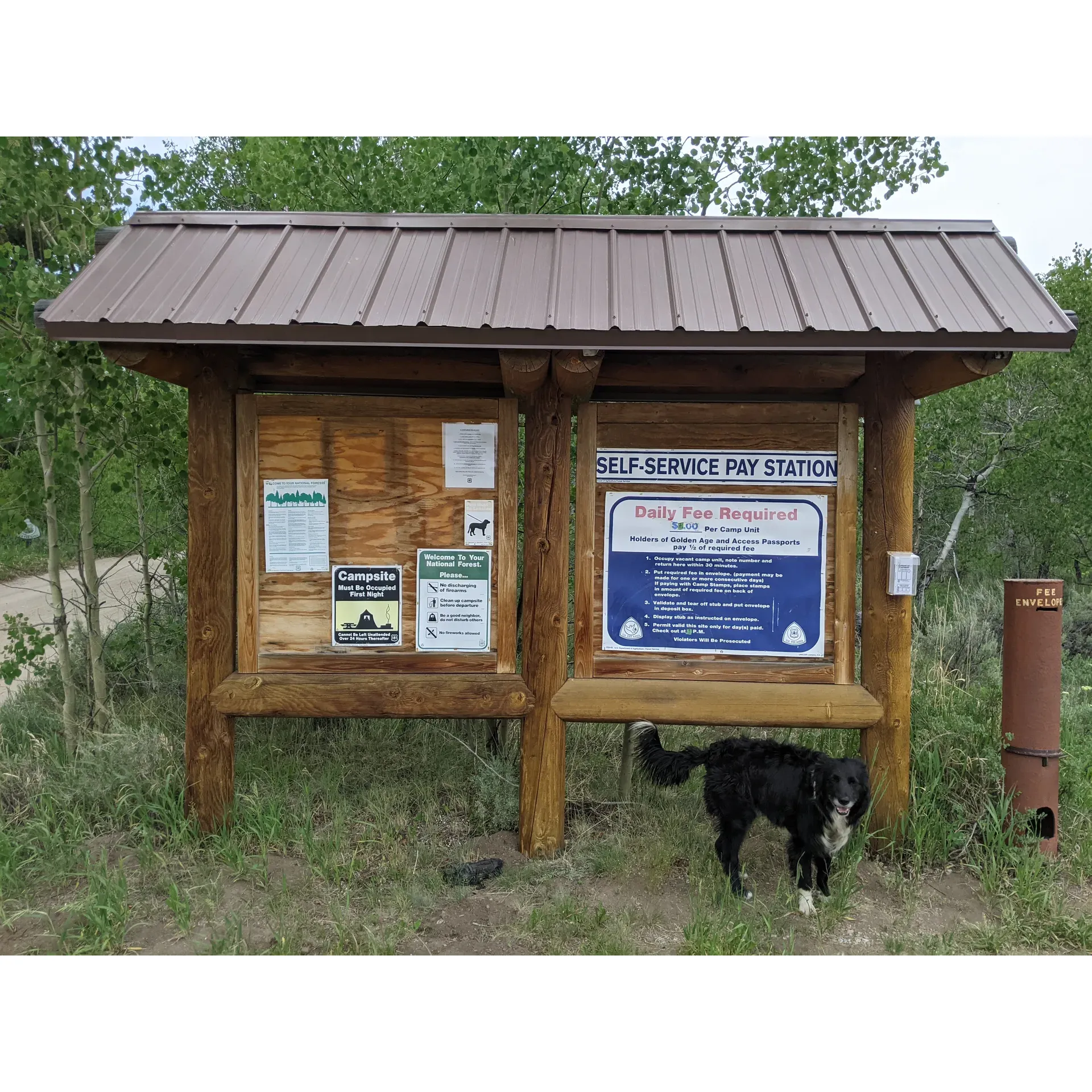 New Fork Lake Campground is an outdoor enthusiast's paradise, offering a variety of water-based activities set against a backdrop of breathtaking scenery. The crystal-clear lake waters beckon adventurers for a refreshing swim, an invigorating kayak trip, a peaceful fishing expedition, or a picturesque camping experience by the shore. The terrain adds an element of rugged beauty to the natural landscape, creating an idyllic setting for visitors to explore the outdoors.

For those seeking a tranquil escape, an evening kayak journey showcases the lake's spectacular views, while the adventurous at heart can take a side-by-side ride to admire the lake from an elevated perspective. Wildlife awareness is a part of the experience, with reminders for campers to come prepared for the region's natural inhabitants.

The campground is an ideal meetup spot for family events, with a day-use area that provides easy access to the water and parking. It's a photographer's dream, with incredible vistas at every turn and multiple hiking trails winding around the lake. Paddleboarding enthusiasts will find the calm lake waters perfect for their sport.

Campers are welcomed to well-maintained sites complete with amenities such as picnic tables and fire rings, perfect for those cozy evenings under the stars. While the campground offers a more rustic stay, with facilities like vault toilets, it is this simplicity that appeals to those seeking an authentic camping experience.

Visitors to New Fork Lake Campground can look forward to a scenic and serene getaway, with nature's splendor on full display, affordable rates, and the tranquility of lakeside camping—a true gem for those looking to immerse themselves in the great outdoors. Description by ChatGPT.