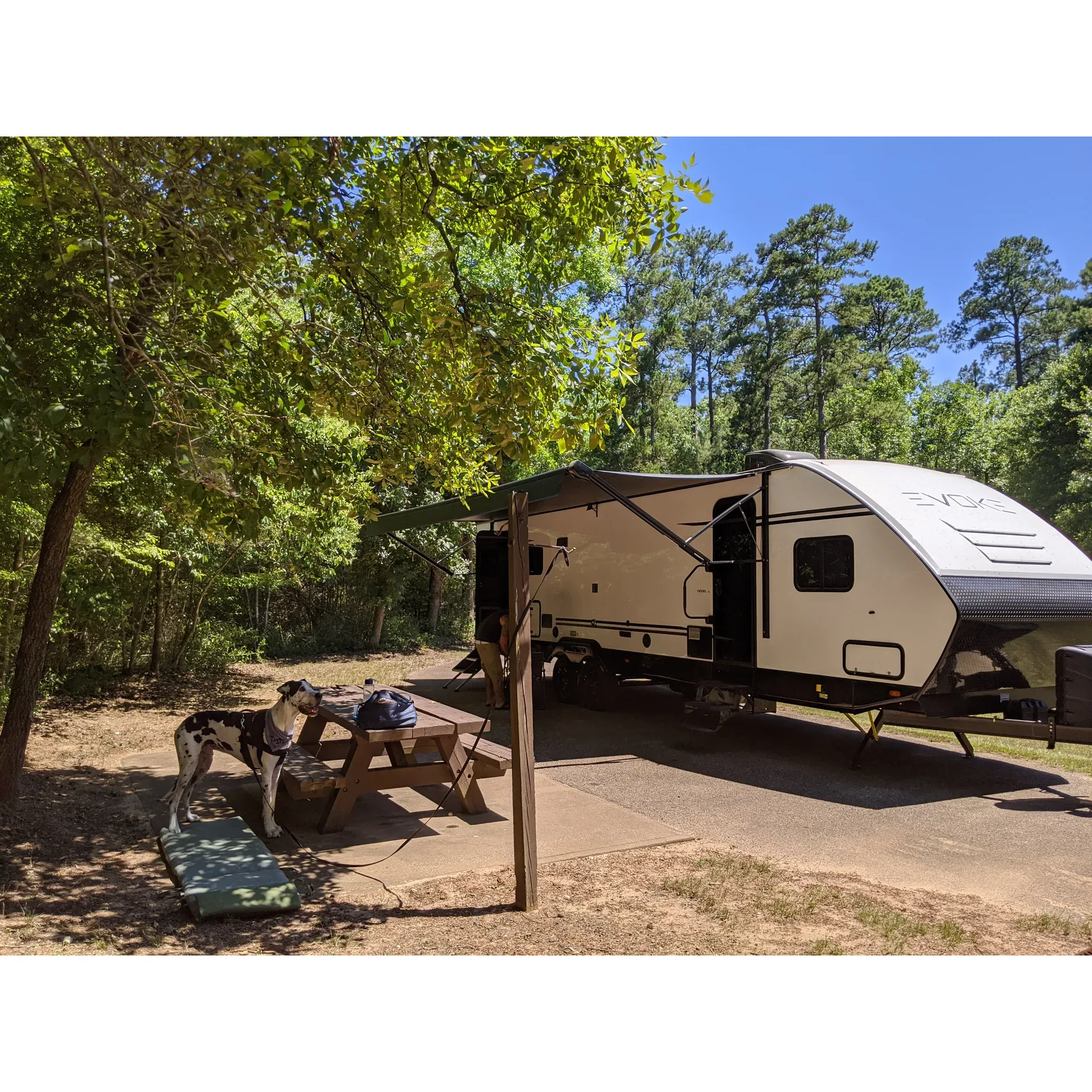 Revel in the serene beauty of nature at Double Lake Campground, a tranquil escape perfect for outdoor enthusiasts and campers seeking a picturesque retreat. With spacious and well-maintained sites, the campground offers ample room for visitors to set up their temporary homes amidst the great outdoors. The presence of multiple courteous park hosts ensures that guests have assistance readily available for a seamless camping experience.

Guests who appreciate the great outdoors are drawn to the scenic trail encircling the clear and peaceful lake, where the splendor of local flora and fauna come alive. The observation of wildlife in their natural habitat adds a delightful touch to the camping experience, appealing to nature lovers and photographers alike.

The campground boasts well-kept facilities that are celebrated for their cleanliness and maintenance, creating a comfortable and inviting atmosphere for all visitors. Our camping community often speaks highly of the camp hosts, who provide exemplary service and are swift to offer their help with any concerns, further enhancing the guest experience.

For those in search of a getaway that blends the charm of rustic camping with the convenience of modern amenities, the campground offers a combination of pull-through and back-in spots, with some featuring full sewer hookups, catering to a variety of preferences and needs.

Immerse yourself in a camping haven that balances seclusion with accessibility, where the harmony of nature's tapestry creates a perfect backdrop for relaxation and reconnection. Whether seeking a leisurely stroll by the lake or a peaceful respite among the trees, Double Lake Campground awaits as an idyllic setting for your next outdoor adventure. Description by ChatGPT.