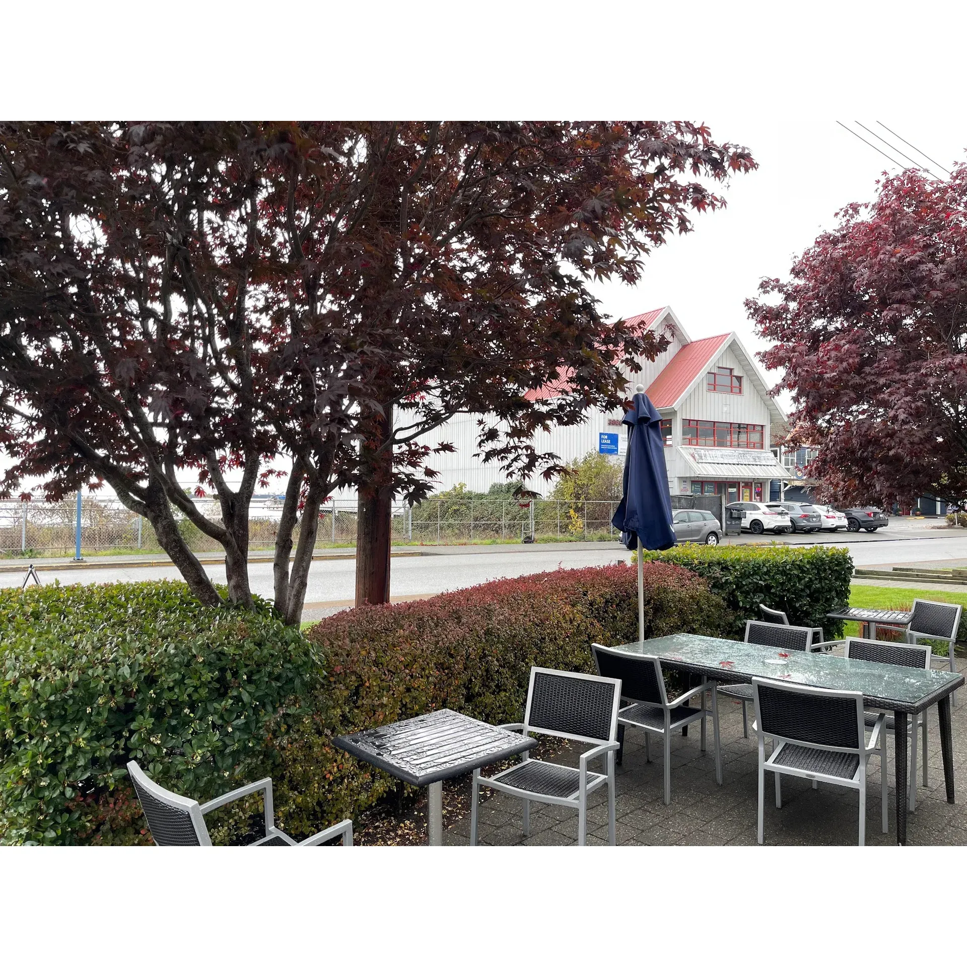 Waves Coffee House – Steveston stands out as a beloved destination for both locals and visitors seeking exceptional coffee and a welcoming environment.