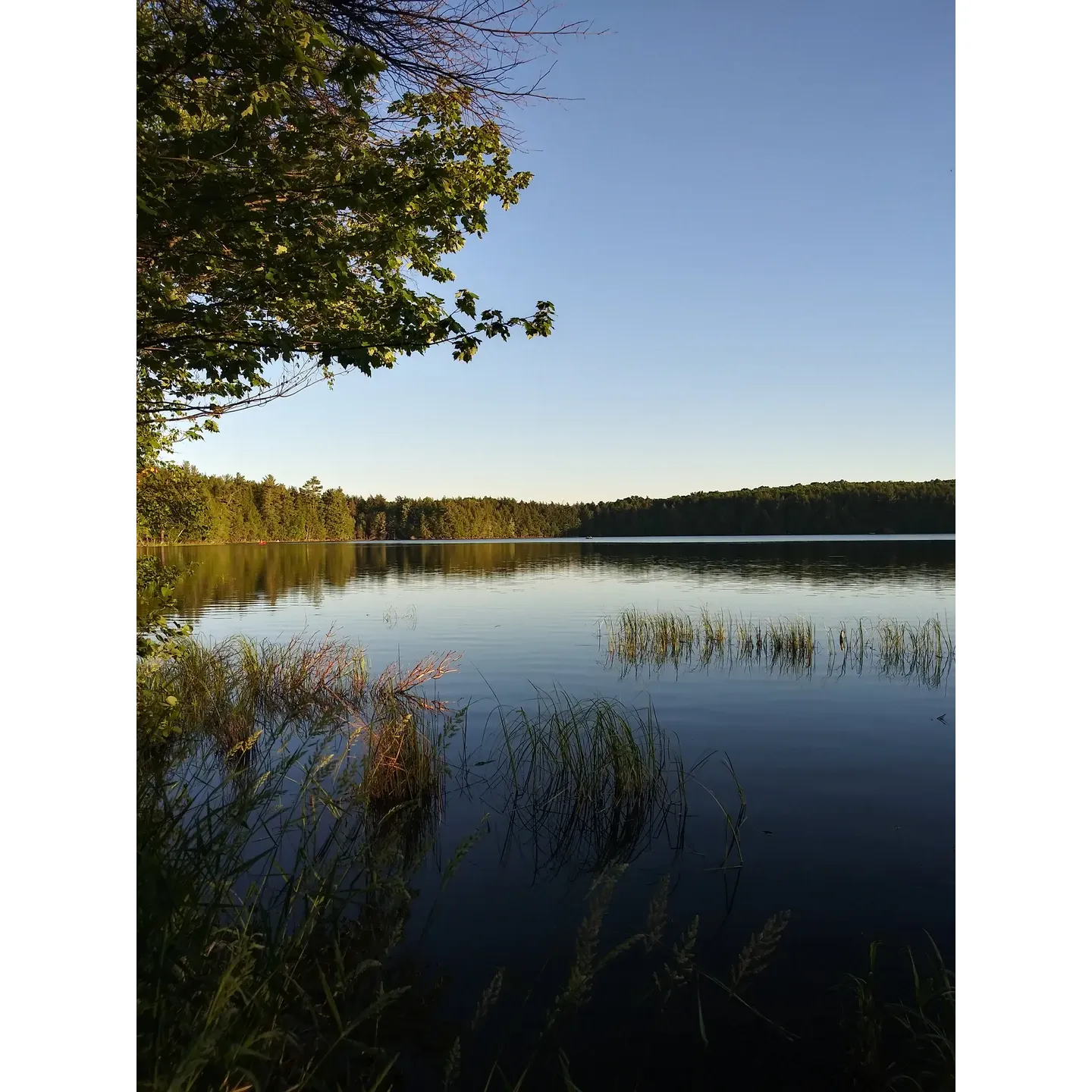 Lost Lake Campajeun offers an idyllic outdoor experience for those looking to indulge in the tranquility of nature. The campground boasts spacious, deep campsites, accommodating both large groups and solo adventurers alike. With a selection of flat terrain and sites that creatively embrace the natural slopes, there's a perfect spot for every type of camper.

The highlight of this retreat is the pristine, clear-water sand-bottom swimming area—a haven for both relaxation and aquatic activities. Anglers will delight in the bountiful fishing, reeling in their catch amidst the serene backdrop of the shimmering lake. For beach goers and wildlife enthusiasts, the sandy shores offer a captivating environment where turtles are frequent, playful visitors.

Enrich your stay by exploring the historical cabins accessible via a scenic hike across the lake, adding a touch of historical charm to your adventure. Connectivity with the environment is further enhanced by stunning hiking trails, such as the picturesque Chipmunk Rapids, promising breathtaking encounters with the local flora and fauna.

While privacy levels differ across sites, with a few offering a snug hideaway among the trees, the open layouts of some camping spots offer a chance to befriend fellow nature lovers. Keeping with the rustic theme, the campground maintains well-kept facilities and potable well water for a comfortable wilderness stay.

The local bar owners contribute to a warm, welcoming atmosphere, ensuring every guest feels part of the Lost Lake community. Stargazers will find the clear night skies irresistible, offering a celestial showcase that is unmatched in urban environments. And for those who appreciate the rawness of outdoor living, the campground's primitive tent camping options provide an authentic back-to-basics experience.

Quiet, rustic, and meticulously clean, Lost Lake Campground embraces the elements, where even rainy days are effortlessly accommodated under the protective canopy of the surrounding forest. This verdant sanctuary offers a rustic yet refined escape, where visitors can capture the essence of stillness and the simple joys of outdoor life, all set against the stunning vista of one of nature's picturesque masterpieces. Description by ChatGPT.