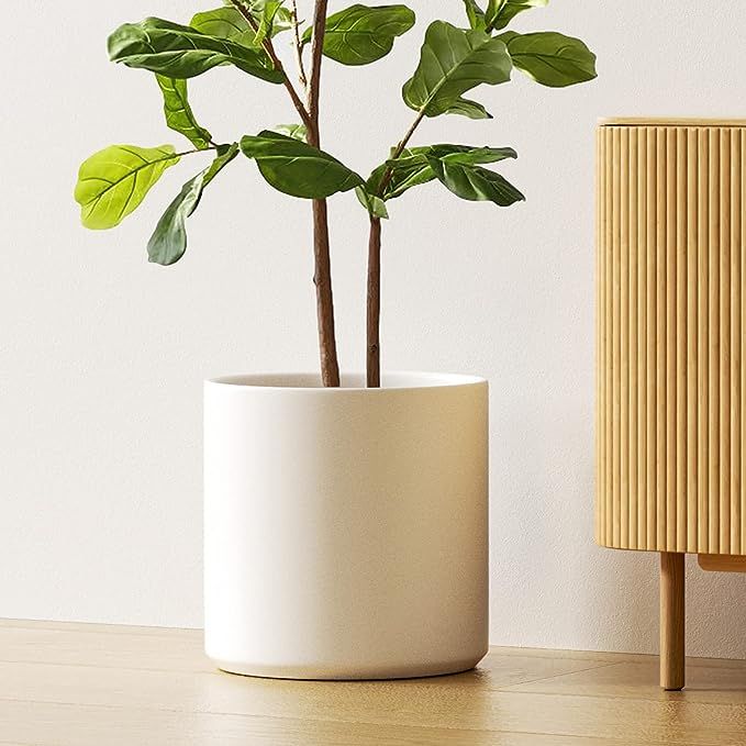 The LE TAUCI 12 Inch Pot for Plants is a stylish and functional ceramic planter designed for indoor use. The large size of this planter makes it ideal for housing medium to large plants, adding a touch of greenery to any space. Its sleek design and mid-century modern aesthetic make it a versatile addition to any home decor.