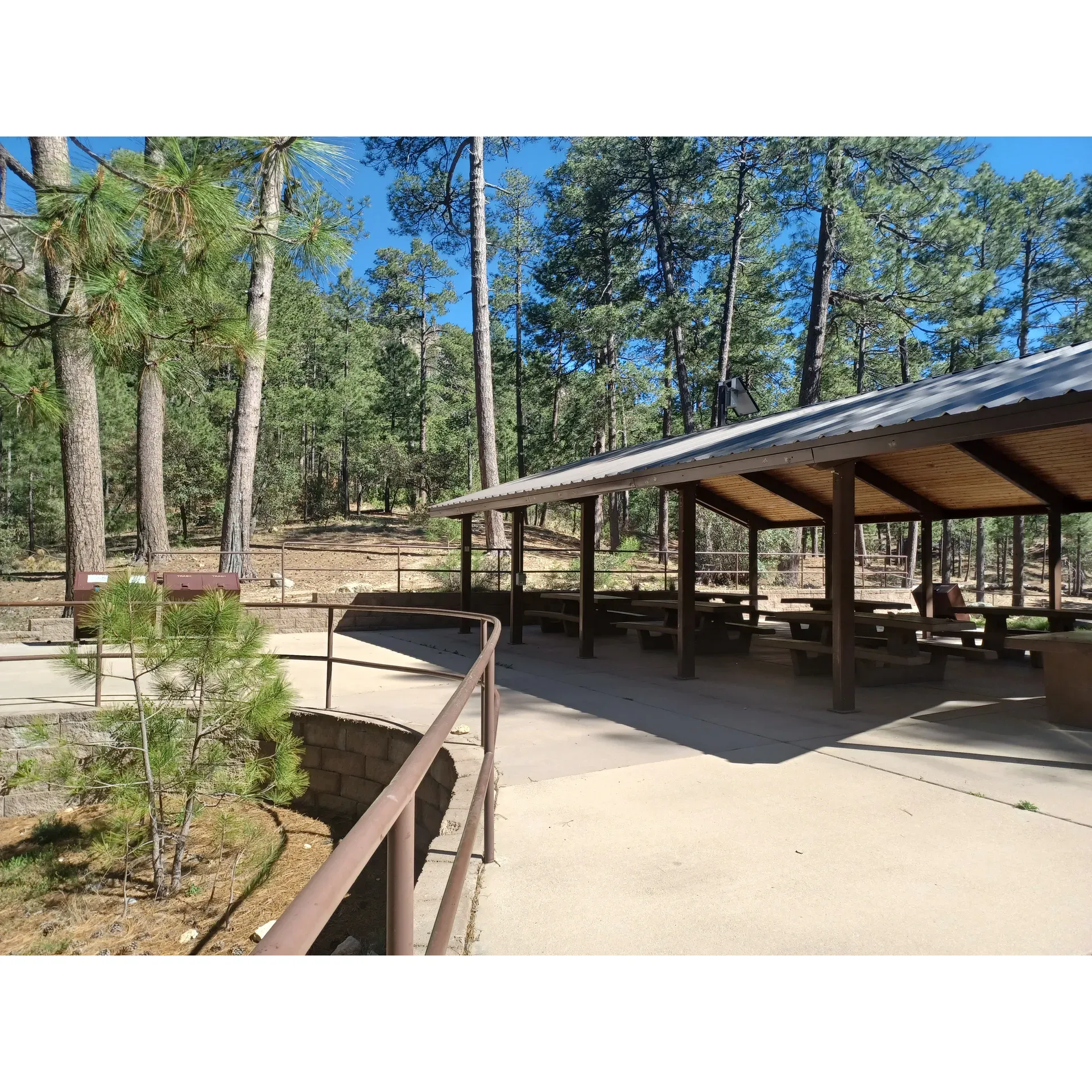 Rose Canyon Campground is a serene oasis that offers a magical escape into Arizona’s contrasting landscapes. Upon departing from Tucson, visitors are greeted by the awe-inspiring transition from rugged desert to a lush pine forest, providing a picturesque backdrop to their adventure. The campground itself boasts the charming Rose Canyon Lake, teeming with bullfrog tadpoles and frequented by anglers eager to partake in the tranquil fishing experience. 

A natural haven for outdoor enthusiasts, the campground has also proven to be an idyllic setting for special events, with the accommodating and friendly hosts, Shane and Vicki, ensuring a memorable experience for all. Guests can enjoy the convenience of a well-maintained facilities structure, including pristine bathrooms and a small on-site store that offers basic provisions such as ice. 

The campground provides a unique year-round destination with its unexpected seasonal surprises, like finding patches of snow at the peak in early May, much to the delight of visitors seeking a different side of Arizona’s climate. It’s a perfect haven for a short stay, enveloped by the tranquility of the cool forest and its lovely vegetation, where you can encounter a wide array of interesting wildlife.

With its rising popularity, advanced reservations are recommended to secure a spot for a weekend retreat. However, with numerous first come first serve spots available, spontaneous travelers may also find a tranquil corner to set up camp. While the amenities might be considered basic, they are clean, well-kept, and sufficient for an authentic camping experience, with courteous staff on hand to assist guests. 

Surrounding activities are easily accessible by car, ensuring there’s always something new to explore each day. Whether visitors come to witness the starry nights, engage in a hiking journey nearby, or simply to unwind from the hustle and bustle of the city, Rose Canyon Campground is a delightful haven that caters to a variety of outdoor admirers looking for a refreshing nature getaway. Description by ChatGPT.