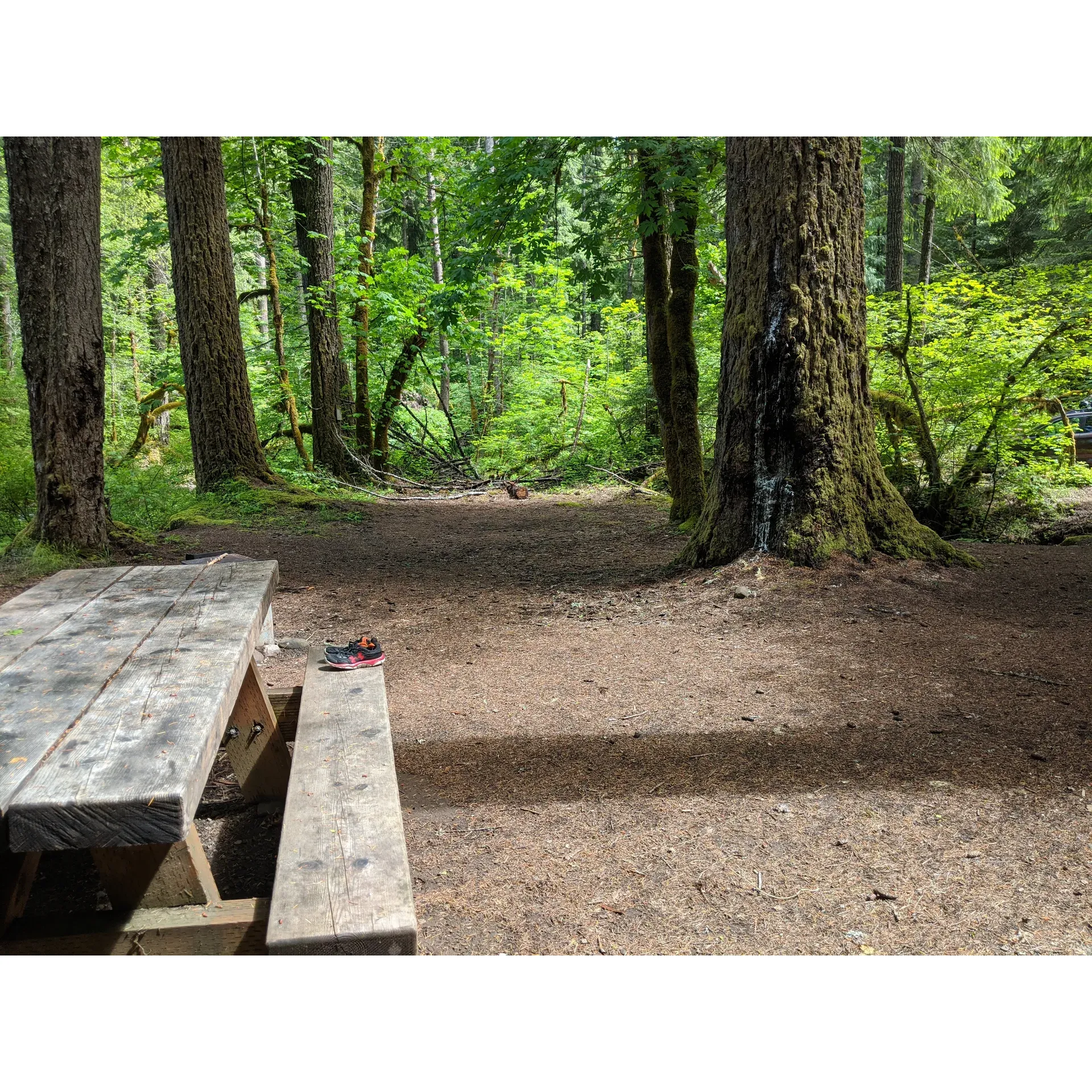 Frissell Crossing Campground offers an idyllic retreat for individuals seeking tranquility and immersion in nature's splendor. Located right along the picturesque upper south fork of the McKenzie River, this remarkably serene refuge is praised for its pristine setting and the harmonious symphony of river sounds complementing the peaceful ambiance. The spacious campsites provide ample room to relax and appreciate the outdoors, with several sites generously proportioned for added comfort. 

Visitors can access potable water through a traditional water pump, though it may be advisable to come equipped with personal water supplies or filtration methods for added convenience. The campground's basic amenities, including well-maintained pit toilets, enhance the area's minimalistic charm, allowing guests to connect with the environment without undue distractions.

Nature enthusiasts revel in the abundant wildlife observed at the campground, with sightings that include birds, deer, frogs, and squirrels, contributing to the profound sense of connection with the wilderness. The nearby forest trails beckon adventurers into the Three Sisters Wilderness, where hikers can explore the unique and enchanting landscapes affectionately referred to as the Forest of Fangorn.

Ideal for contemplative retreats, this peaceful camping ground has become a cherished sanctuary for those seeking to make meaningful life decisions, find personal clarity, or simply unwind in a small, well-kept setting devoid of loud noises and bustling crowds. Guests can find solace in the off-grid experience, with the lack of cellular coverage reinforcing the detachment from the digital world, and delight in the occasional thrill of nearby wildlife encounters.

Whether celebrating a quiet holiday weekend or a routine escape from the everyday, Frisselve Crossing Campground stands out as a stunning and serene destination, offering an unforgettable outdoor experience for campers and nature lovers alike. Description by ChatGPT.