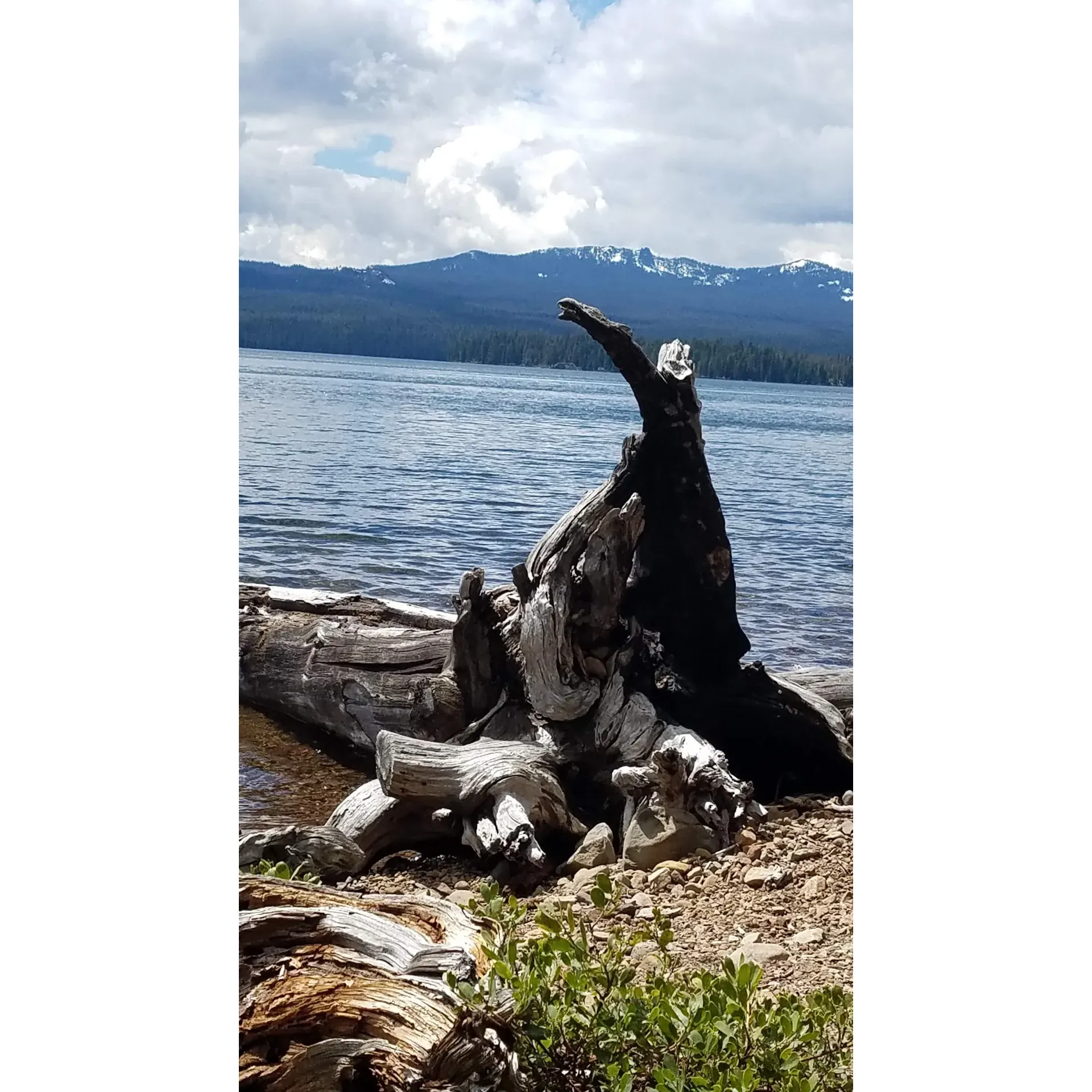 Cultus Lake Campground offers guests an immersive escape with its sprawling, spacious campsites perfect for those seeking solitude and a deep connection with nature. Lovers of aquatic adventures will appreciate the ideally situated campsites providing ample opportunities for boating and jet ski enthusiasts to enjoy the exhilarating waves of the clear lake waters.

The west side boat-in campground is a hidden gem, offering peace and tranquility, especially as dusk falls, when the symphony of nature fills the air. This seclusion enhances the feeling of being one with the wild, allowing guests to fully unwind from the hustle of everyday life.

For those who prefer easier access and the convenience of being closer to amenities, the east side of the campground presents an inviting alternative, with less interference from natural elements. Here, guests can easily launch into an exciting day on the water and return to the comfort of their campsite with ease.

Mid-June visitors can revel in the privacy afforded by the off-peak season, along with an environment that is virtually bug-free, providing a serene setting for outdoor enjoyment. Those staying at one of the well-appointed sites, such as site 4, will find themselves surrounded by ample space and privacy, allowing for a more intimate camping experience.

Though amenities such as showers and flowing water may not always be available, this untamed retreat is for the true adventurer at heart. Limited cell service at the campground ensures that your stay is a genuine reprieve from the digital world, encouraging guests to soak in the beauty around them without distractions.

Cultus Lake Campground is also marked by a sense of community and ease, evidenced by satisfied visitors who have lucked into securing last-minute reservations for their getaways. The enthusiastic camp hosts, who find joy in the beauty and fun of the lake, help foster a welcoming and lively atmosphere.

Whether seeking a quiet corner to reconnect with nature or a bustling lakeside hub for water sport thrills, Cultus Lake Campground is a beloved destination that invites you to bring your sense of adventure and create cherished memories by the water's edge. Description by ChatGPT.