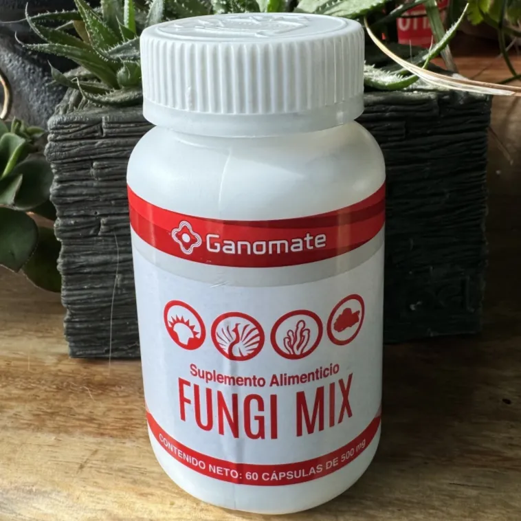 Discover the power of nature with HONGO FUNGÍ MIX!
This extraordinary supplement combines chaga mushrooms , cordyceps , sun mushroom and turkey tail , offering a cocktail of benefits that will transform your well-being.