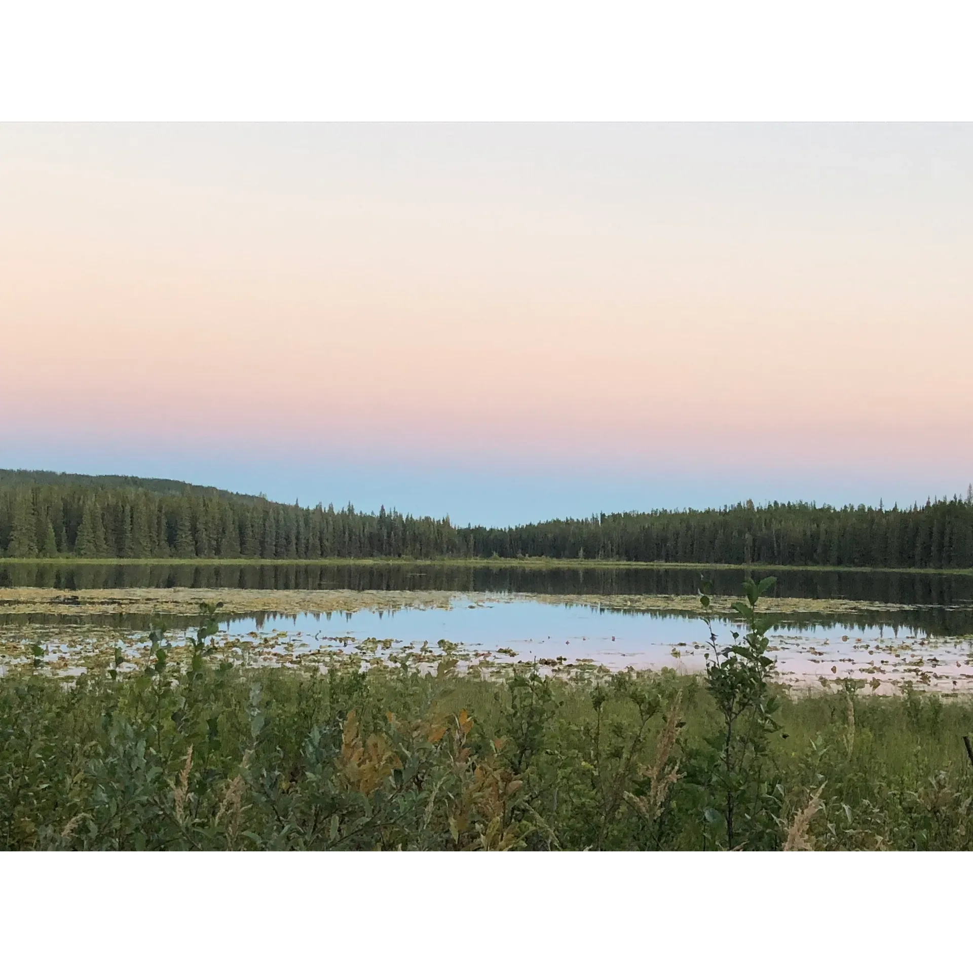 Discover a serene oasis located conveniently close to the main highway—an idyllic retreat for outdoor enthusiasts and anglers alike. Embrace the tranquility of a beautiful lake scene at the Co-op Lake Recreation Site, an exquisite destination favored for its peaceful ambiance and picturesque lake views. 

This hidden gem features eleven well-maintained campsites, each equipped with standard amenities such as picnic tables and fire pits, ensuring a comfortable and relaxed outdoor experience. Whether you're catching the gentle lull of early fall when you might find yourself as the sole visitor or joining the lively winter crowd, there's a sense of quietude and community that makes this location a cherished getaway.

As you bask in the placid environment, you'll revel in the sheer beauty of the site that makes it perfect for fishing enthusiasts. While the lake might not be your first choice for swimming, it is renowned for its ice fishing—a winter highlight that draws visitors looking for a favorite cold-weather activity. 

The site's accessibility makes it a breeze for day-trippers and campers to navigate to this locale, which, despite being near a once bustling highway, offers a haven of tranquility where you can disconnect, recharge and enjoy the simple pleasure of nature’s offerings. Whether you're looking to cast your line in the gentle waters or just enjoy a calm respite surrounded by natural splendor, Co-op Lake Recreation Site presents an inviting space for solitude and recreation throughout the year. Description by ChatGPT.