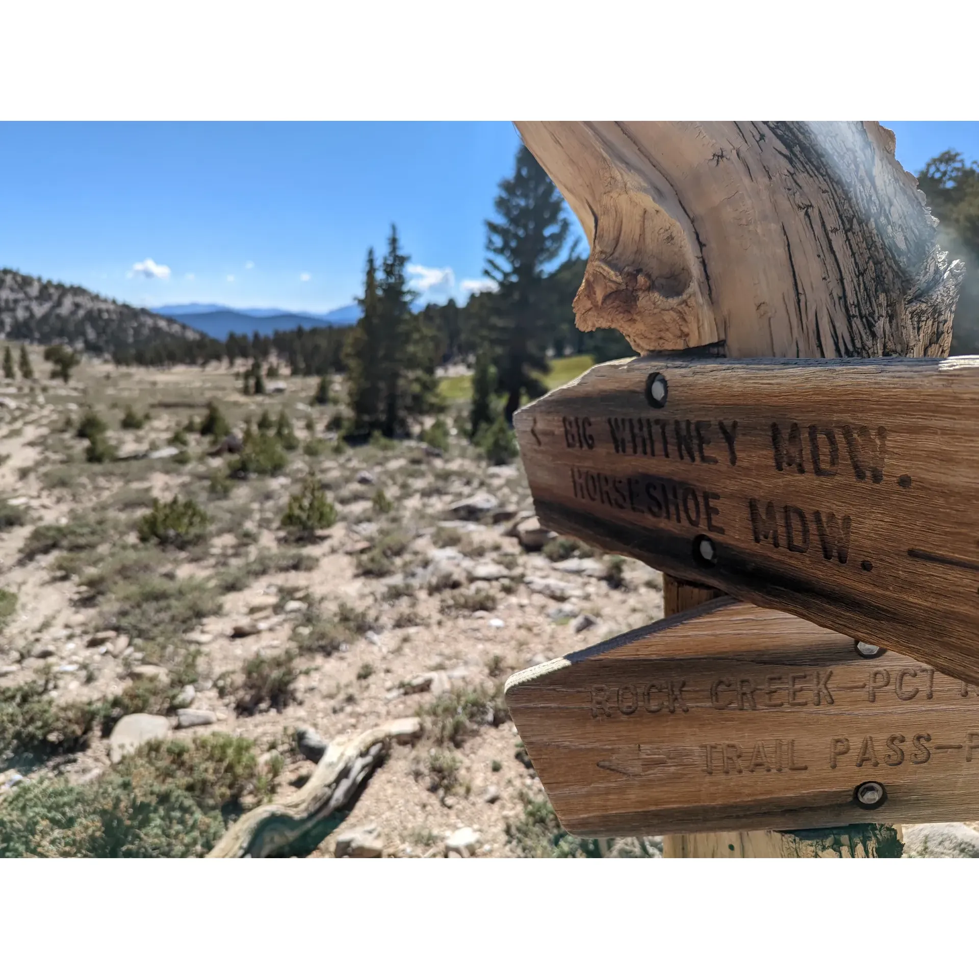 Immerse yourself in an authentic high-country experience at the tranquil Cottonwood Pass Trailhead Campground. Elevated at an impressive altitude of 10,000 feet, this cozy campground provides avid adventurers and nature enthusiasts with an intimate setting comprised of 18 walk-in sites. Visitors are encouraged to embrace the simplicity of outdoor living, with each conveniently clustered site promoting a sense of camaraderie among fellow campers.

Breathe in the crisp, pure air and marvel at the lush, verdant trees that adorn the landscape, contributing to the area's serene and picturesque quality. Enjoy the magnificent drive from Lone Pine, which promises awe-inspiring vistas that captivate and thrill.

Those seeking a wilderness adventure will find the Cottonwood Pass Trailhead and its neighbor, the Cottonwood Lakes Trailhead, gateways to the southern Sierra's majestic splendor. Whether you are a day hiker or a backpacker setting out on a multi-day trek, this spot provides unparalleled access to stunning natural wonders.

Guests appreciate the campground's cleanliness and ample parking, ensuring a hassle-free start to their outdoor excursions. With the area's remarkable tranquility, uninterrupted by cell service, visitors can fully disconnect from the digital world and immerate in their surroundings.

Anglers, in particular, have the exclusive chance to engage with nature through the thrill of catching (and releasing) the elusive natural golden trout, adding a cherished memory to their trip. With the campground operating on a first-come, first-served basis, it's an ideal location for spontaneous nature lovers to pitch their tent and explore the splendor that awaits.

Be sure to come prepared with your own water supply to enhance your stay. Those who have experienced the splendor of Cottonwood Pass Trailhead Campground eagerly recommend it, often planning their return even before they've departed, enticed by the allure of its unspoiled beauty and the promise of further exploration. Description by ChatGPT.