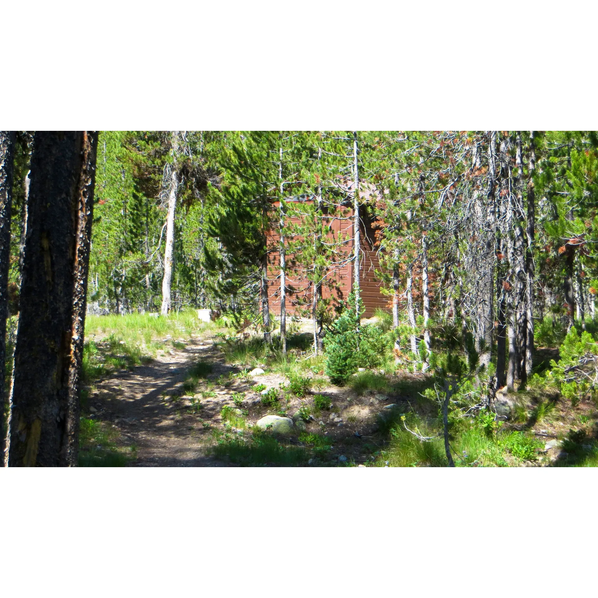 Trout Creek Campground offers an idyllic outdoor retreat for campers looking for a well-maintained natural escape. Set amidst a serene environment, this campground boasts pristine facilities, including clean vault toilets, ensuring visitor comfort while maintaining an authentic camping experience. Patrons can enjoy peace of mind with the campground's commendable implementation of excellent health and safety measures in line with best practices for Covid.

Visitors can immerse themselves in the tranquil surroundings that are home to an abundance of wildlife and scenic beauty. The campground's location provides ample opportunity for guests to engage in outdoor activities such as hiking, fishing, and stargazing away from city lights. While the presence of local fauna adds to the authentic outdoor experience, campers are reminded to come prepared with bug spray to enhance their enjoyment.

Overall, Trout Creek Campground is lauded for its cleanliness and commitment to guest health, making it an ideal location for those looking to enjoy nature's offerings with responsible stewardship and comfort in mind. Description by ChatGPT.