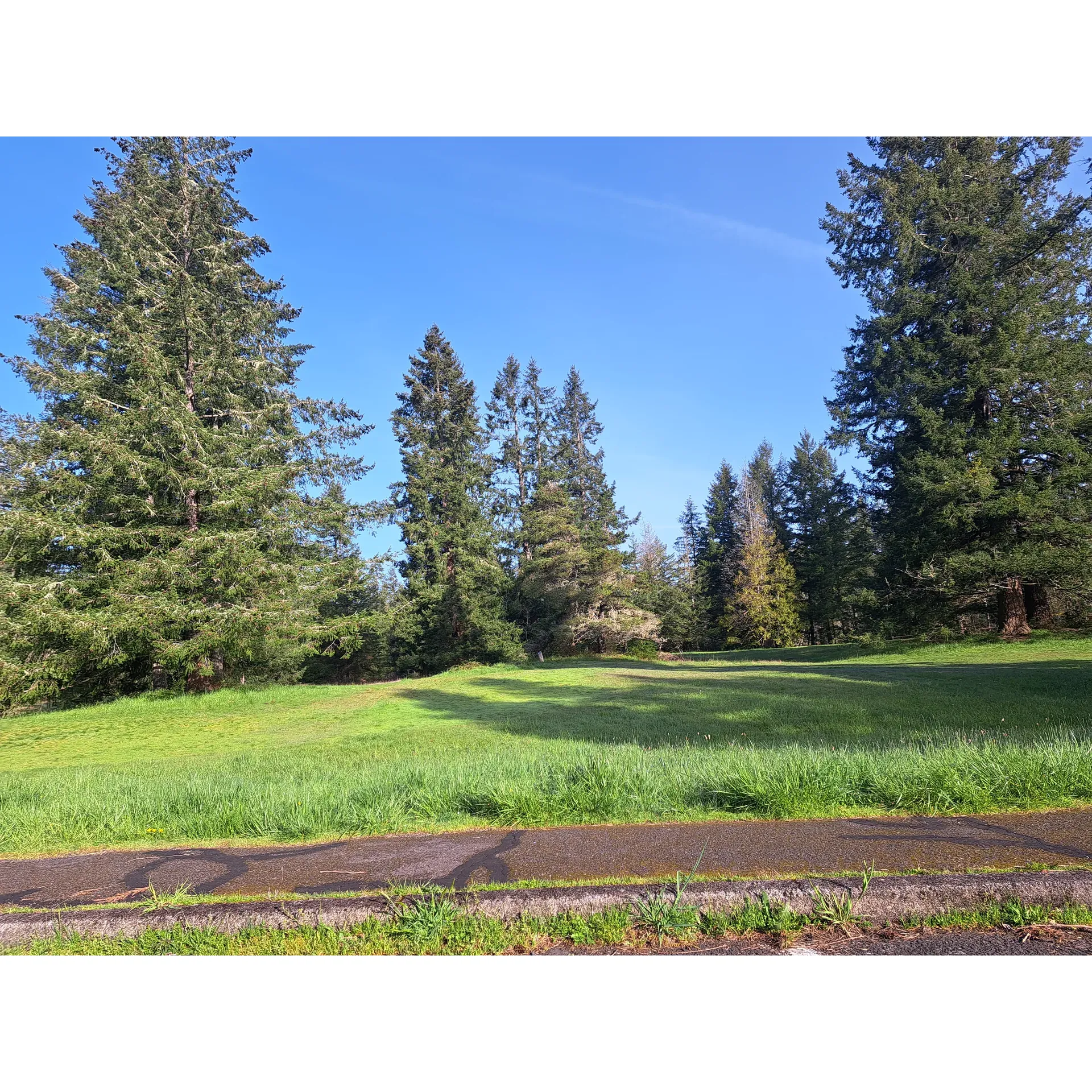 Milo McIver State Park Campground is a coveted outdoor destination offering a harmonious blend of recreational activities and serene camping experiences. Set amid rolling hills and lush landscapes, campers revel in spacious sites that comfortably accommodate up to 6-person tents, ensuring a tranquil retreat without the sense of overcrowding, even when the campground is bustling with nature enthusiasts.

Campers are treated to a rich array of trails tailored to a variety connectivity with nature – from horse-friendly paths to meandering hiking trails and well-maintained bike routes. Camaraderie with the environment is evident, as each campsite is thoughtfully sited to maximize privacy and connectivity with the surrounding flora.

The park's scenic splendor includes vibrant forests and the picturesque beauty of a wandering river, affirming its reputation as a premier five-star outdoor haven. With an eye towards convenience, the campground is equipped with modern amenities including pristine restrooms and hot showers, enhancing the comfort of the outdoor adventure.

Outdoor adventurers find much to celebrate with the park's diverse offerings, which include an innovative disc golf course set amidst varied terrain, bringing both challenge and exhilaration to players. Water enthusiasts delight in easy access to the water for recreation such as kayaking, canoeing, or stand-up paddleboarding, and thrill-seekers might find themselves leaping from the exhilarating cliff jumps accessible by water.

Utility hook-ups provide a seamless camping experience for those visiting with RVs, offering essentials like power and water directly on-site. Each campsite comes complete with a picnic table and fire pit (subject to seasonal usage regulations), creating the ideal setting for memorable outdoor dining and socializing. Even though some campsites feature firm, hard-packed earth, they are still amply sized for tent camping, requiring only the addition of a good mattress for sound sleep under the stars.

Customer service is a cornerstone of the park's ethos, with the on-site rangers displaying exceptional attentiveness and care. From personal calls to secure and maintain campsite reservations for guests running late, to their overall approachability, the park staff exemplify dedication and a warm, welcoming spirit.

Milo McIver State Park Campgateway presents an unparalleled opportunity for those seeking to immerse themselves in nature's embrace, enjoy a variety of recreational activities, or simply find solace in the peaceful ambiance of a well-maintained outdoor sanctuary. With an emphasis on creating a pleasant and accommodating environment for all visitors, the campground stands tall as an idyllic location for both seasoned campers and those new to the joys of the great outdoors. Description by ChatGPT.