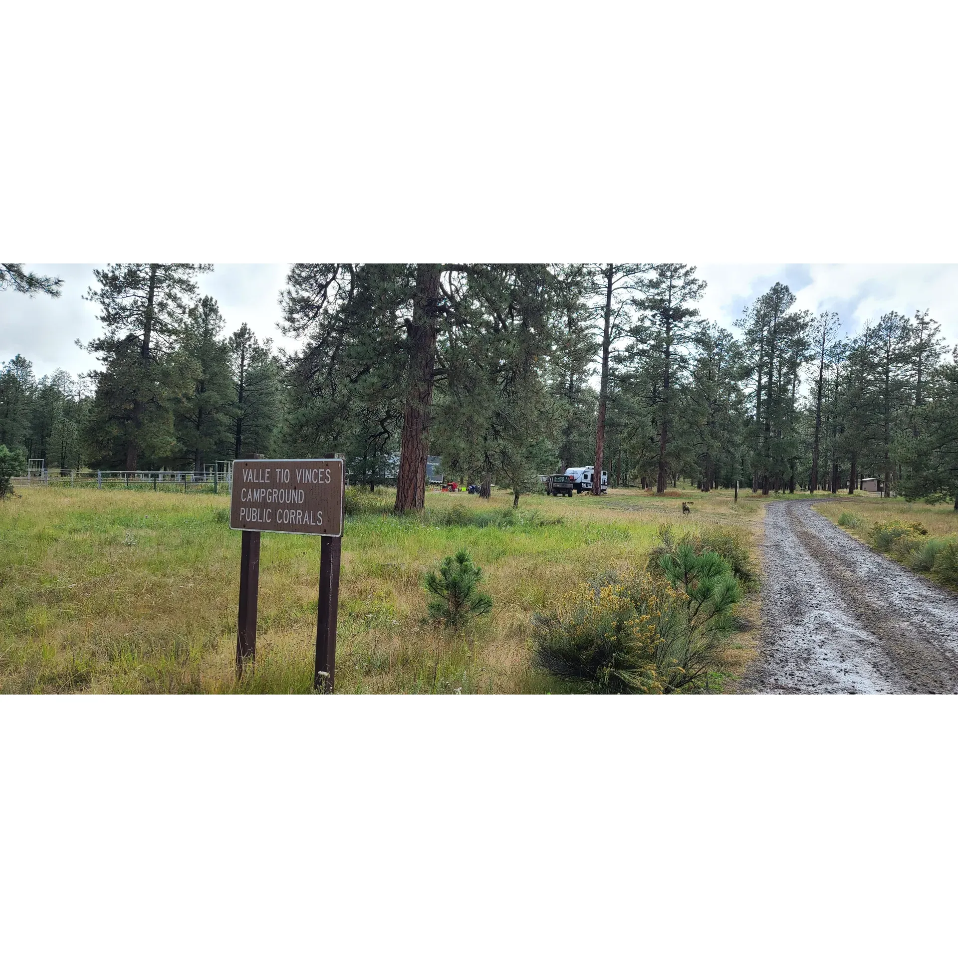 Valle Tio Vences Campground in the Gila National Forest offers a serene and picturesque retreat for nature enthusiasts and equestrian campers alike. Visitors have continuously highlighted the tranquility of this camping spot, which boasts minimal traffic and an intimate experience with nature where one can relish the sounds of the wilderness without the crowd.

With about five well-spaced camp spots, each equipped with a table and fire ring, the grounds facilitate a classic outdoor experience. Forest rangers keep the area well-maintained, ensuring a neat environment awaited by campers. For added convenience, there are vault toilets provided, adding to the comfort of your stay at Valle Tio Vences.

A distinct appeal of the campground is the accommodation for horseback riders. The presence of public corrals for horse camping enthusiasts makes it an ideal base for those looking to explore the forest trails on horseback. These corrals are thoughtfully placed in proximity to the camp sites, allowing for easy access and peace of mind.

Visitors laud the campground's secluded beauty, from the fresh scents of the forest to the enchanting surrounding trees, making it an exceptional location for both day trips and longer camping ventures. The approach to the campground along well-maintained gravel roads from both the north and south further enhances the accessibility of this remote getaway.

Those staying connected with the world outside will appreciate the excellent Verizon 4G cell service, ensuring you can share your adventures or stay in touch effortlessly. While there is no on-site water or trash disposal, visitors come prepared to fully immerse themselves in the self-reliant camping experience.

In sum, Valle Tio Vences Campground is a gem within the Gila National Forest. With its beautiful landscape, well-considered facilities, and pristine setting, it promises an exceptional outdoor experience that guests look forward to revisiting time and time again. Whether you seek a restful haven or an adventurous basecamp, Valle Tio Vences is an excellent choice. Description by ChatGPT.