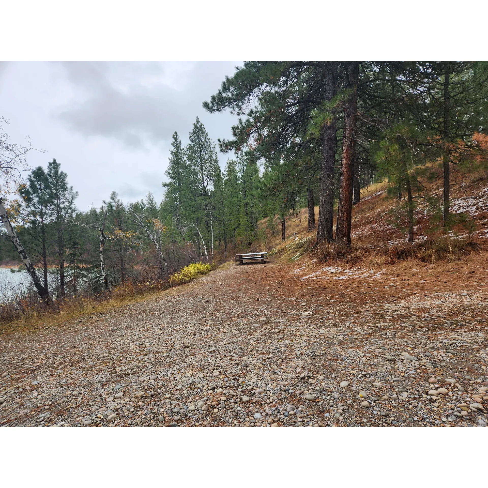 Surrounded by the tranquil beauty of the great outdoors, Johnson Lake Recreation Site in Canal Flats is a treasured getaway for those seeking to immerse themselves in nature. The recreation site is a popular destination for individuals and families alike, offering a host of amenities that cater to the needs of outdoor enthusiasts.

Visitors to Johnson Lake can enjoy the serene ambiance of a quiet lake, perfect for a day of relaxation or gentle water activities. The lake itself provides a picturesque backdrop for kayakers and swimmers, inviting guests to enjoy the water at their leisure. Nature's soundtrack is ever-present, creating a soothing atmosphere that allows for a true escape from the hustle and bustle of daily life.

The site is well-equipped for day-trippers and campers, featuring five picnic tables that are ideal for group gatherings or a peaceful lakeside lunch. Additionally, there are fire rings available for those who delight in the warmth and glow of an open campfire, perfect for roasting marshmallows or swapping stories under the starry sky.

For added convenience, Johnson Lake Recreation Site offers two pit toilets, ensuring that basic amenities are available for visitors. Although the site does not boast an extensive boat launch, it remains accessible to those who are willing to traverse the rustic road leading to the area. The road is a testament to the untouched and rugged character of the surrounding landscape, adding to the adventure for visitors arriving in suitable vehicles.

Local residents fondly refer to this gem as Turtle Lake, a nod to its connection with the community and the cherished memories it has created for generations. The idyllic environment is not only good for swimming and kayaking but also invites guests to enjoy a leisurely walk around the lake, immersing themselves in the area's natural beauty.

Johnson Lake Recreation Site is recognized for its incredibly beautiful setting, one which is maintained with care and attention to preserve its pristine condition. It is an idyllic destination that promises a memorable outdoor experience, whether you are looking to reconnect with nature solo or with loved ones. Visitors are encouraged to come and create their own cherished memories at this delightful lakeside retreat. Description by ChatGPT.