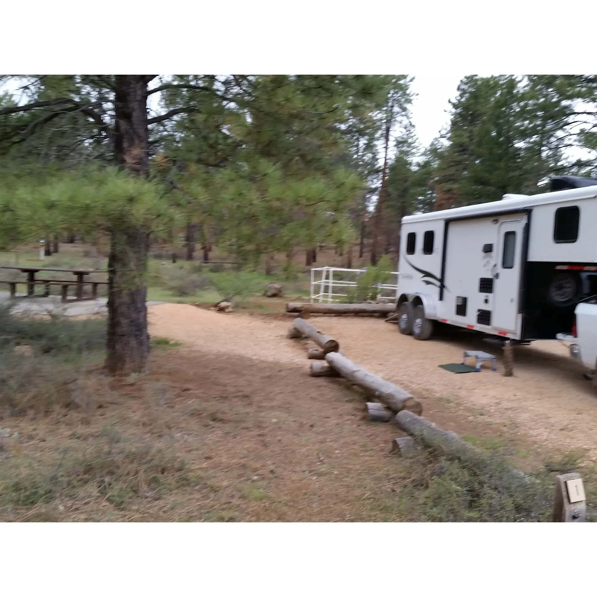 Coyote Hollow Equestrian Campground is an ideal spot for outdoor enthusiasts and equestrian adventurers alike. Perfectly situated within a beautiful pine forest in the Dixie National Forest, it offers spectacular views of distant canyons and the serenity of nature.

Guests rave about the accessibility to Thunder Mountain Trail and Bryce Canyon, especially the Peek a Boo Trail, making it an excellent base camp for exploring the magnificent surrounding areas. The campground provides the essentials with well-maintained concrete pads that feature picnic tables, grills, and fire rings, enhancing the camping experience.

Equine visitors are well catered to with convenient amenities such as water hydrants, tie rails, and hitching posts to ensure comfort for both horse and rider. The spacious sites, complemented by nice gravel bedding, are designed to accommodate your trailer with ease.

Among the charms of Coyote Hollow are the minimal light pollution for stargazing, the tranquility away from highway traffic noise, and the natural soundtrack of birds and whispering pines. It is a quiet escape that still offers modern conveniences like good cell signal reception and sunny spots ideal for solar charging, complemented by cool shade.

While the camp is primarily an equestrian campground, it welcomes all types of campers to enjoy the four expansive sites that blend seamlessly into the forested backdrop. For your convenience, a clean and decent pit toilet is available on-site.

Value is at the forefront with an affordable fee structure, making it accessible for more campers to enjoy the great outdoors. Remember to plan ahead for water needs during certain times of the year to ensure a comfortable and memorable stay at this great little campground. Highly recommended for its simplicity and natural beauty, Coyote Hollow Equestrian Campground is indeed a gem for those seeking a rustic yet delightful camping experience near Bryce Canyon. Description by ChatGPT.