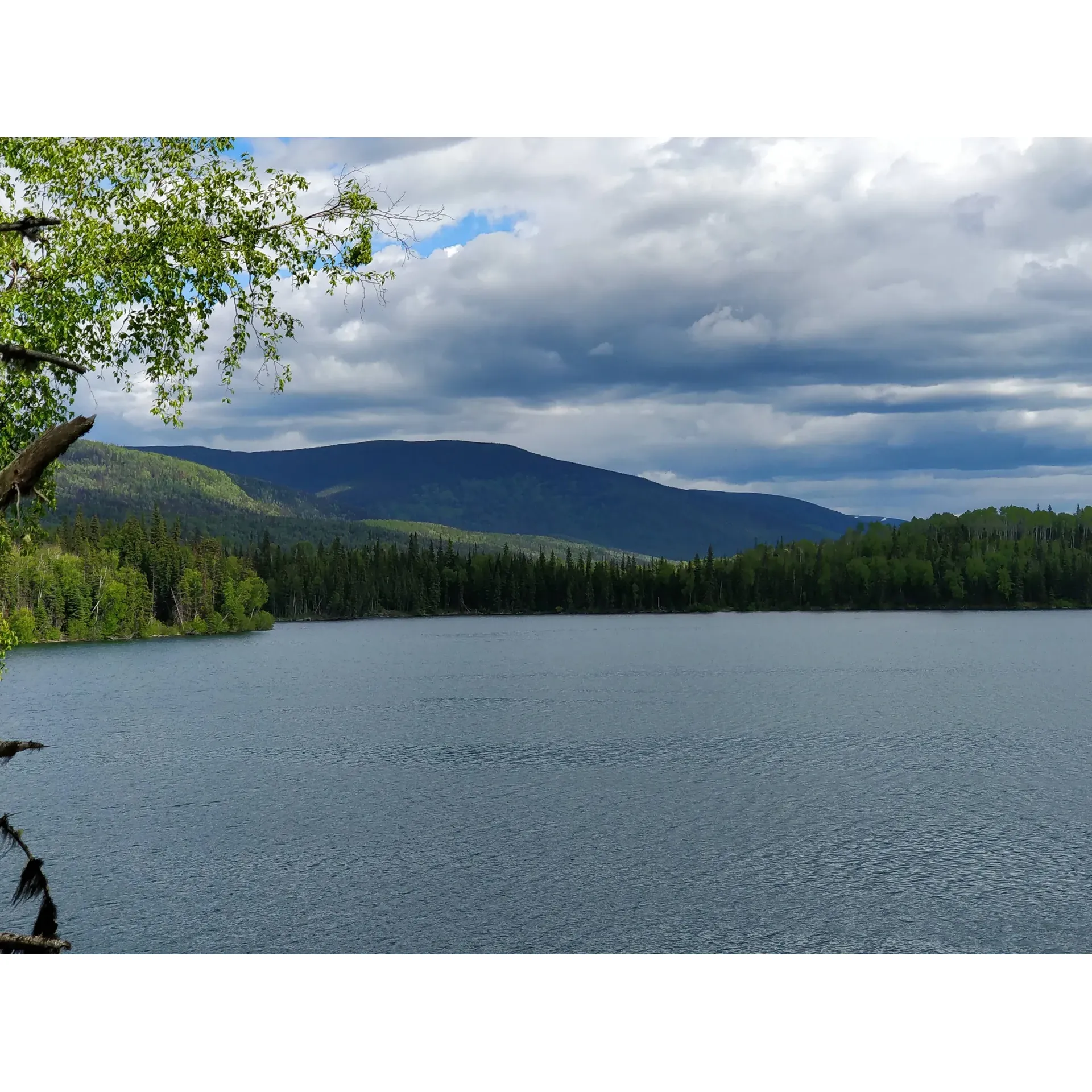 Heather-Dina Lakes Provincial Park offers a serene and picturesque escape into nature, perfectly tailored for outdoorsy groups and individual adventurers alike. Visitors are greeted by three large, verdant campsites graced with ample picnic tables and fire rings, providing the cozy ambiance for a night under the stars alongside the tranquil Heather Lake. Convenience is a hallmark of this park, with a well-maintained pit toilet readily available to enhance your group camping experience.

For water enthusiasts, the park boasts a car-top boat launch on Heather Lake, inviting guests to glide through the waters and embrace the soothing surroundings. In contrast, Dina Lake presents about ten rustic sites alongside a dedicated tent site, each equipped with their own picnic tables and fire rings to amplify the rustic camping vibe. With two additional pit toilets, a docking area, ample turnarounds, and day-use parking spaces, guests are provided with the necessary amenities to make their stay comfortable and hassle-free. Those bringing along small boats will appreciate the dedicated launch area, though all are encouraged to review the specific fishing and boating restrictions for each lake to ensure a sustainable and safe experience for everyone.

For the adventurers at heart, the Dina Lakes canoe circuit is a highlight not to be missed. Consisting of five interconnected small lakes, it's an aquatic journey through a lush wonderland, requiring both paddling and portage. Spanning just over 6km of canoed adventure and roughly 1.5km of portage trails, it's a perfect blend of exertion and exhilaration. From the longest canoed stretch of over 2km to the most extensive portage of around 700 metres, each phase of the circuit brings its own unique rewards.

Visitors often find themselves drawn to the charm of Cut Thumb Bay, a favorite spot renowned for its stunning rock formations and gorgeous scenery. Amidst these crystalline lakes, one should bring their own drinking water to stay hydrated while basking in the undisturbed beauty of the area. Heather-Dina Lakes Provincial Park is unquestionably a captivating retreat for those who find joy in the simpler wonders of the natural world. Description by ChatGPT.