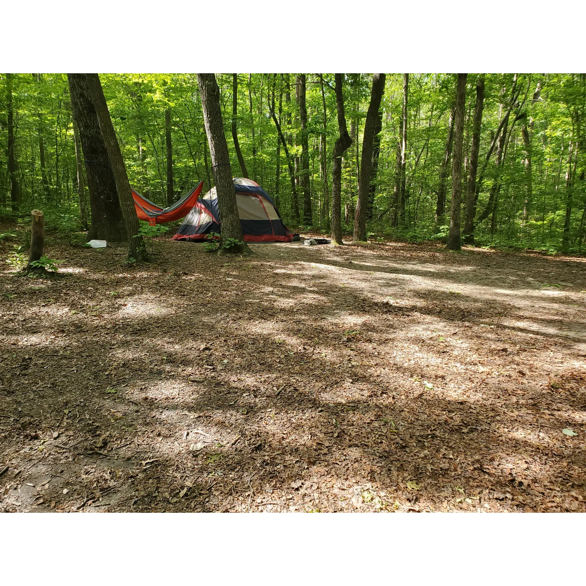 Cloudland Canyon Backcountry Campsite 8 is a remote and secluded camping spot located within Cloudland Canyon State Park in Rising Fawn, Georgia. The campsite is situated along the popular Sitton's Gulch Trail, offering campers a peaceful and serene setting surrounded by lush forests and stunning mountain views. 

Campsite 8 is a walk-in campsite, meaning that visitors must hike in to reach the site and there are no vehicles allowed. This offers a true backcountry camping experience, perfect for those looking to disconnect from the hustle and bustle of everyday life and immerse themselves in nature. The site features a tent pad, fire ring, and picnic table, providing all the basic amenities needed for a comfortable camping experience.

In addition to the beautiful natural surroundings, Cloudland Canyon State Park offers a variety of recreational activities for campers to enjoy, including hiking, mountain biking, and wildlife viewing. With its picturesque setting and peaceful atmosphere, Cloudland Canyon Backcountry Campsite 8 is the perfect destination for those seeking a true escape into the great outdoors. Description by ChatGPT.