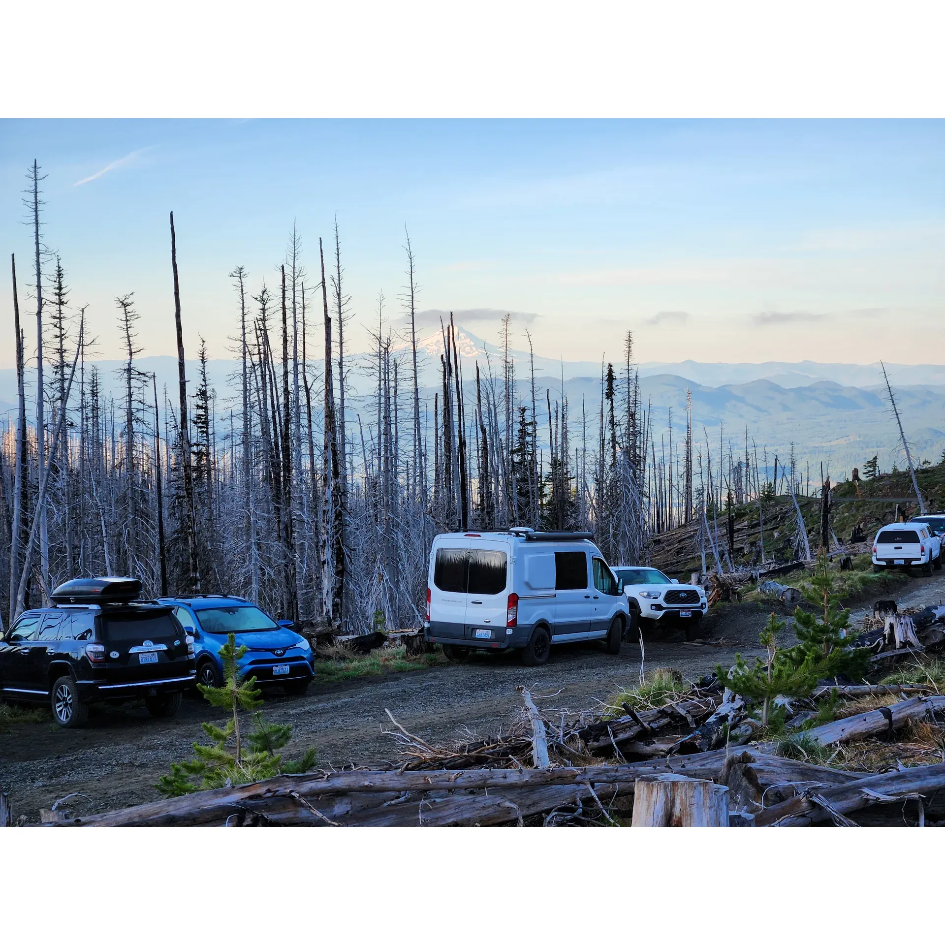 Cold Springs Campground presents a serene escape into the wild, offering an authentic outdoor experience ideal for adventurers and nature enthusiasts alike. Embrace the challenge of a rugged, yet manageable approach to an off-the-beaten-path retreat where you can set up your tent among grand vistas. Strategically sited at the trailhead for the popular Mt Adams South Climb, this campground is the perfect base for hikers and climbers eager to conquer the magnificent peak.

Upon arrival, visitors are rewarded with ample parking, ensuring a stress-free start to their wilderness adventure. The campground boasts abundant tent sites, allowing guests to find their perfect spot to connect with nature. For the necessary conveniences, several well-maintained pit toilets are available to meet the basic needs of campers.

As the day unfolds, explorers can prepare to be wowed by breathtaking views of the surrounding mountains, including captivating sunsets that cast a golden glow over Helens and Mt Hood. These moments of natural splendor provide the perfect backdrop for reflection and relaxation after a day of adventure.

For those seeking the thrill of mountain climbing, staying at Cold Springs Campments means being at the very doorstep of excitement, as it sits right at the South Climb Trailhead. Whether you're planning a one-day ascent or a more leisurely exploration, your alpine journey begins with just steps from your tent.

While the campground is a hub of activity during the peak month of June due to its prime location, there's a sense of camarader ong fellow outdoorsmen and a shared appreciation for the majestic beauty of Mt Adams. With its combination of basic amenities, proximity to adventure, and the raw allure of the Pacific Northwest wilderness, Cold Springs Campground rises as a cherished destination for those willing to embrace the rugged side of camping. Description by ChatGPT.