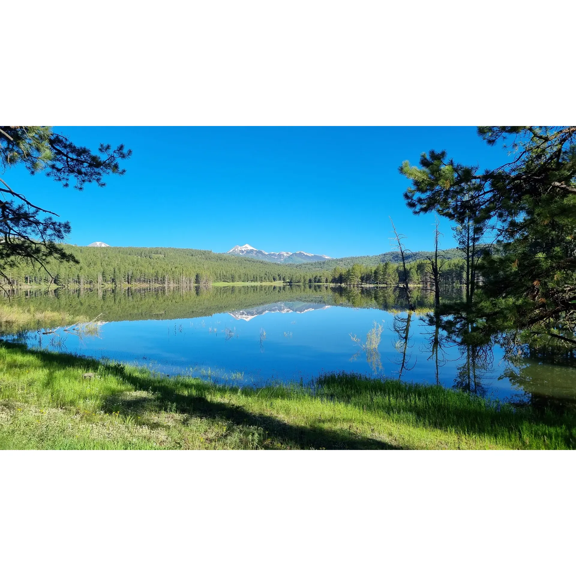 Buckeye Reservoir stands out as an alluring destination for outdoor enthusiasts seeking tranquility and natural beauty. Surrounded by a lush tapestry of Ponderosa trees, the reservoir, when full, is a crystal-clear haven for swimmers, offering visibility all the way down to the soles of their feet. Its pristine waters provide a refreshing escape during the warmer months, accompanied by cool, pleasant weather that makes every activity delightful.

Visitors rave about the impeccable maintenance of the facilities, with cleanliness being a top priority. The bathrooms receive consistent praise for their tidiness, which is a testament to the diligent efforts of the campground staff. Rez, the camp host, embodies the warmth and hospitality that guests can expect, going above and beyond to ensure a comfortable stay—even offering assistance with unexpected vehicular mishaps.

The reservoir offers a choice of traditional campground spots and "dispersed" camping areas, both options thoughtfully equipped with amenities such as bathrooms and concrete fire rings. These dispersed sites are especially prized for their seclusion, allowing campers the chance to immerse themselves in nature as if they were the only people around, even during peak holiday weekends.

Additionally, the area's layout ensures a sense of solitude and connection with nature. Despite drawing adventurers to its shores, the reservoir maintains a remarkable sense of peace and quiet, perfect for those looking to unwind and disconnect from the hustle and bustle of daily life. Whether seeking serenity or adventure, Buckeye Reservoir offers a range of experiences that leave visitors with lasting memories and stories to share. Description by ChatGPT.