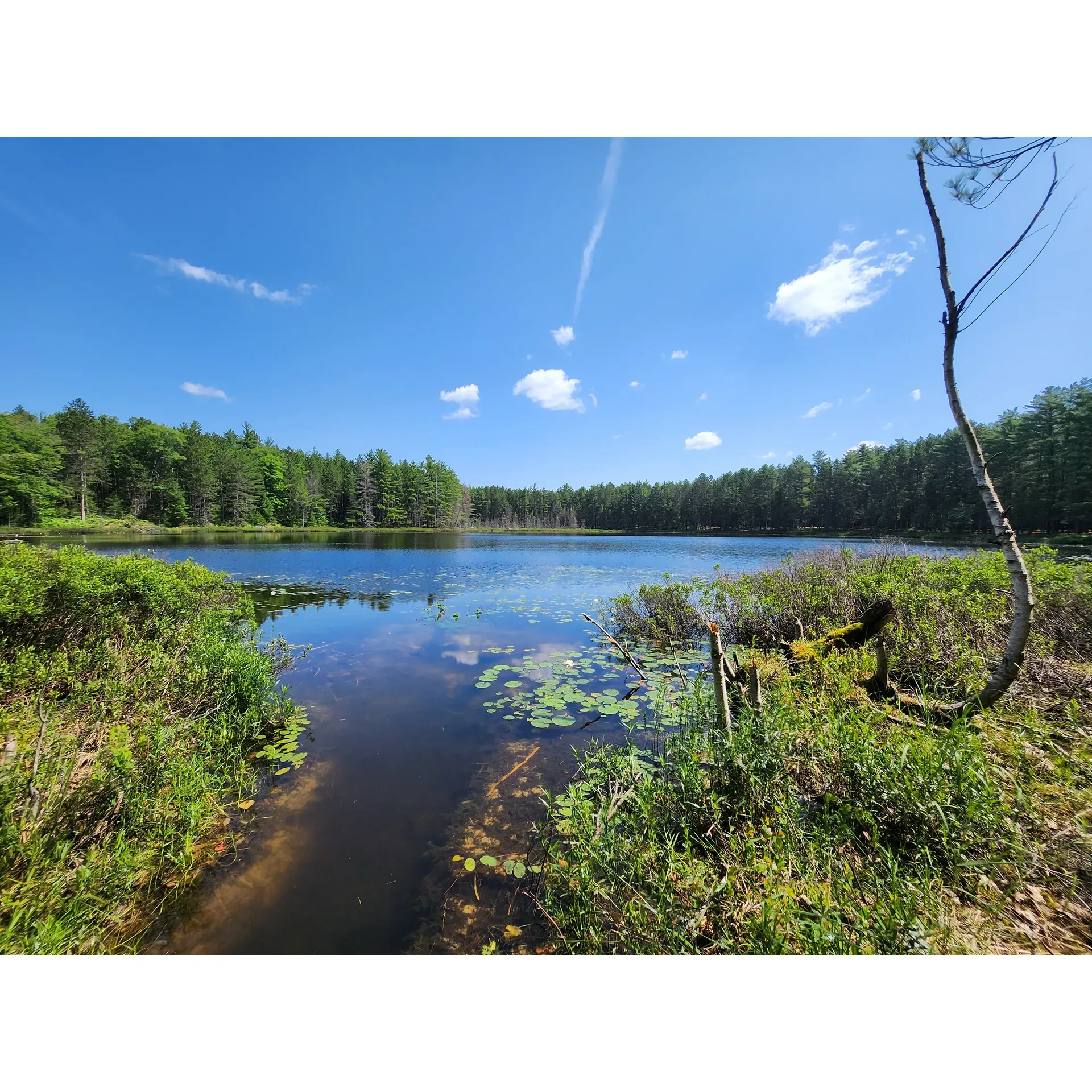 Round Lake State Forest Campground offers a tranquil retreat for nature lovers and outdoor enthusiasts alike. This scenic destination is a haven of serenity, providing visitors with an opportunity to bask in the quietude of the wilderness. Surrounded by majestic pines and embraced by the gentle waters of a pristine natural lake, the campground is an idyllic setting for guests seeking a respite from the bustle of daily life.

With its spacious and well-situated camping spots, visitors are afforded spectacular views that promise a memorable stay. The campground serves as an excellent base for anglers, with previous guests having reported good luck fishing in the adjacent waters. Wildlife is abundant, offering campers the delightful experience of observing nature's inhabitants in their native habitat.

The vastness of the lots ensures privacy and ample space, enhancing the overall enjoyment of the outdoor experience. Enthusiastic campers often look forward to returning, drawn back by the campground's beautiful landscapes and the peace that pervades the area.

Round Lake State Forest Campground is a gem for those seeking a traditional camping experience, offering an escape into nature where one can relax, recharge and revel in the beauty of the forest and lake. Description by ChatGPT.