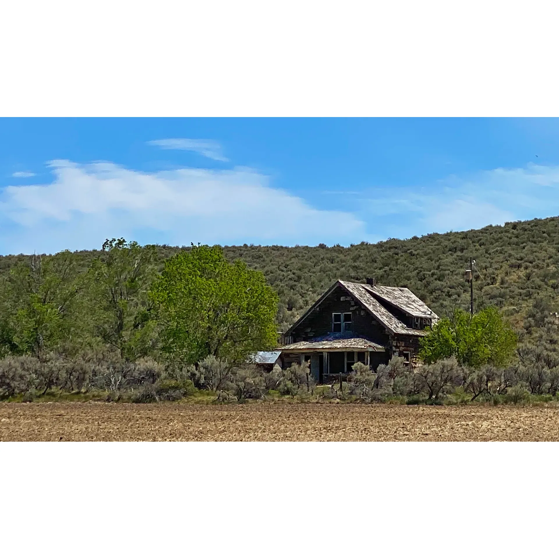 Escape the cacophony of city life and immerse yourself in the tranquil oasis that is Twin Springs Campground, a secluded paradise for outdoor enthusiasts and wildlife admirers alike. Tucked away amid the vast expanse of public lands, this idyllic retreat offers a serene getaway that allows you to reconnect with nature in its purest form.

In the embrace of the wilderness, Twin Springs Campground is a haven where the simplicity of the landscape is its charm, offering expansive skies unobstructed by towering trees, under which your campsite awaits. This unique setting opens up an uninterrupted view of the majestic wildlife, from the playful dance of swallows to the gentle meanderings of small groundhogs and the occasional glimpse of the iconic 'Bugs Bunny'. Keep your eyes peeled for the awe-inspiring sight of a hawk soaring overhead, a reminder of the unspoiled beauty of the natural world.

The chorus of birdsong provides a natural soundtrack to your stay, enhancing the peace and serenity that pervades the campgrounds. With the absence of cell service, Twin Springs Campground encourages a full disconnection from digital distractions, inviting you to indulge in the pleasures of the present moment. Here, conversations go uninterrupted beneath the starry sky, and the crackle of the campfire becomes the evening's entertainment.

Adventurers will find solace in the tranquil environment, with ample opportunities to explore the surrounding public lands. Whether on foot or by vehicle, discover picturesque landscapes and hidden gems that beckon the curious and the brave. The campground's undisturbed setting makes it ideal for a restorative overnight stay, or as a base for those seeking to embark on a longer sojourn into the wilderness.

For those who appreciate the rustic charm of outdoor living, Twin Springs Campground provides the essentials with a touch of ruggedness. Guests are encouraged to come equipped and embrace the self-sufficient spirit, preparing to leave their site as pristine as they found it. With this collective stewardship, the campground remains a cherished spot for all who seek respite in nature's embrace.

Twin Springs Campground is a beautifully quiet and beautiful setting, offering an intimate experience for campers to create lasting memories amidst the raw beauty of the great outdoors. It's a place where every sunset paints a picture and every sunrise ushers in new possibilities. Pack your spirit of adventure and set off for Twin Springs Campground, where the wilderness whispers its timeless welcome. Description by ChatGPT.