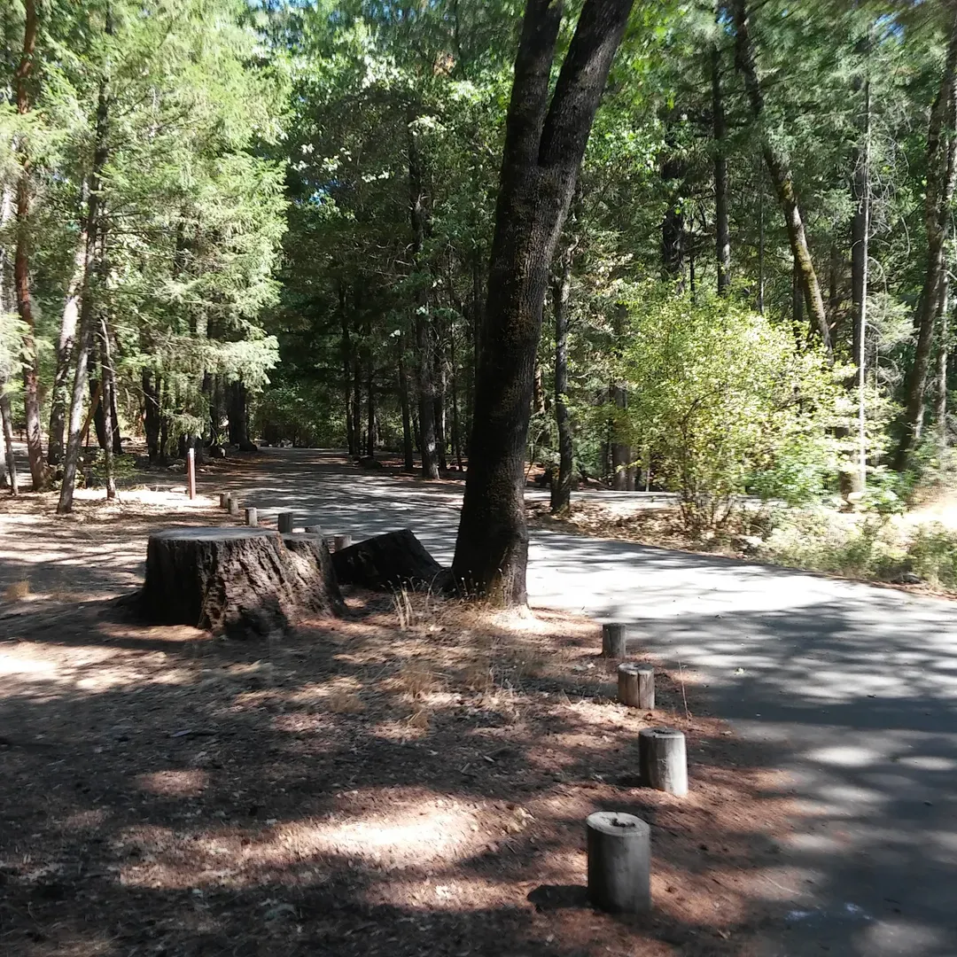 Trout Creek Campground offers an authentic outdoor experience that beckons adventurers and nature lovers alike. This relatively undiscovered jewel provides an affordable getaway for those seeking the serenity of a weekend in the outdoors without the crowds. With its convenient location adjacent to the river, guests are treated to the delightful sounds of flowing water and the opportunity for a range of water-based activities at their doorstep.

The scenic beauty of the surrounding area makes Trout Creek Campground a perfect retreat for those looking to immerse themselves in nature. The spacious, shaded campsites offer a comfortable, rustic, and harmonious setting, ensuring that every stay here is a memorable one. The campground's beach serves as an ideal launch and landing point for tubing enthusiasts and is a natural highlight for all visitors.

Families and regular guests frequent Trout Creek Campground, drawn by the campground's proximity to the Eel River and the pleasant ambiance it affords. The river access is a highlight, with even the most remote sites being just a short walk away. The Eel River brings a cooling respite and a spot for leisure on hot summer days, perfect for those desiring to simply relax or for the more adventurous spirits interested in exploring the gentle rapids.

The campground is designed with convenience in mind, featuring two distinct areas for campers. One offers first-come, first-served sites near the check-in, while the second, located closer to the river, provides reservable sites online to cater to planning-ahead enthusiasts. Amenities such as trash service and water spigots are thoughtfully provided to ensure campers’ needs are met, allowing more time for leisure and less for logistics.

Gathering with friends and creating lasting memories is part of the charm at Trout Creek Campground. Whether it's a large group seeking adventure or a family outing desiring tranquility, the natural beauty and accessible facilities make this campground a much-loved destination for a rejuvenating escape into the wilds without leaving modern conveniences far behind. Description by ChatGPT.