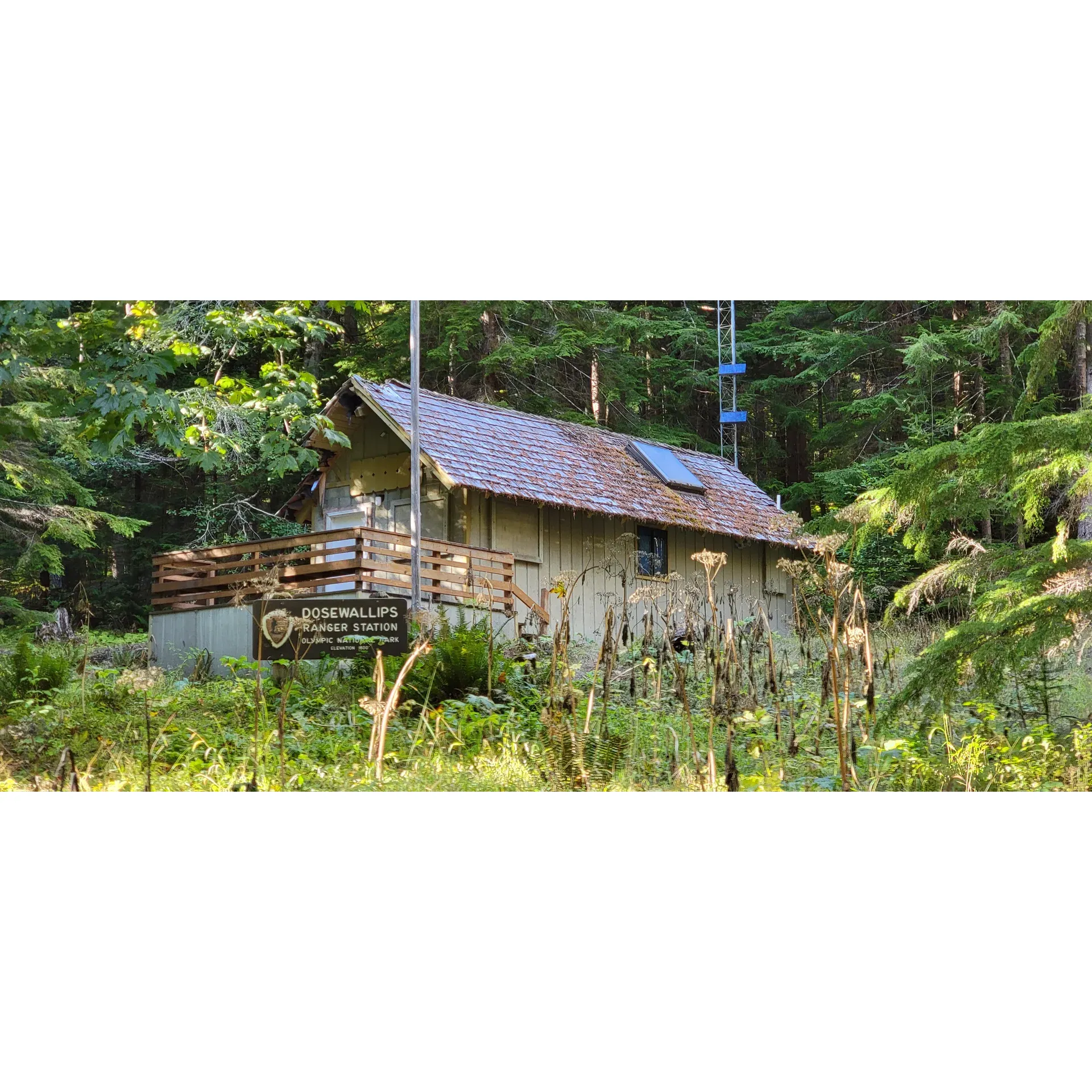 Dosewallips Campground and Ranger Station offers outdoor enthusiasts a serene escape into the majesty of the Olympic Wilderness. This beautiful hike-in only campground brings adventurers through historical pathways, where nature has reclaimed the once-accessible roads, offering a sense of peaceful solitude and a deep connection with the wilderness.

The upper campground presents a well-preserved space for campers, featuring legible site numbers, functional fire pits, and picnic tables, ensuring a few more years of outdoor enjoyment among the towering trees and fresh mountain air. Campers can find basic amenities such as a pit toilet, adding a touch of convenience to the rustic experience.

Adding to the allure, the campground is situated along a creek that gently weaves through the landscape, hinting at the stories of the old water system building it now embraces. For those keen on exploration, a short spur trail leads to a stunning 1972 massive concrete bridge below the lower Elkhorn campground, offering a worthwhile detour and a glimpse into the region's history.

The Dosewallips Campground is not just a haven for campers; it is also a haven for wildlife, with the occasional sighting of mountain goats adding excitement to the pristine views and vast wilderness. With established fire pits, picnic tables, and bear boxes, backpackers can enjoy a multi-night trip immersed in the natural splendor.

For those traveling with families, the park comes alive with the laughter of children playing and engaging in numerous activities like exploring the river, visiting the beach, and embarking on scenic hikes. This destination is a "do things" park, perfect for creating unforgettable memories in the great outdoors.

Whether seeking a solitary journey through the Olympic Wilderness or a family-friendly adventure packed with activities, Dosewallips Campground and Ranger Station gives visitors a chance to reconnect with nature and experience the raw beauty of the Pacific Northwest. Description by ChatGPT.