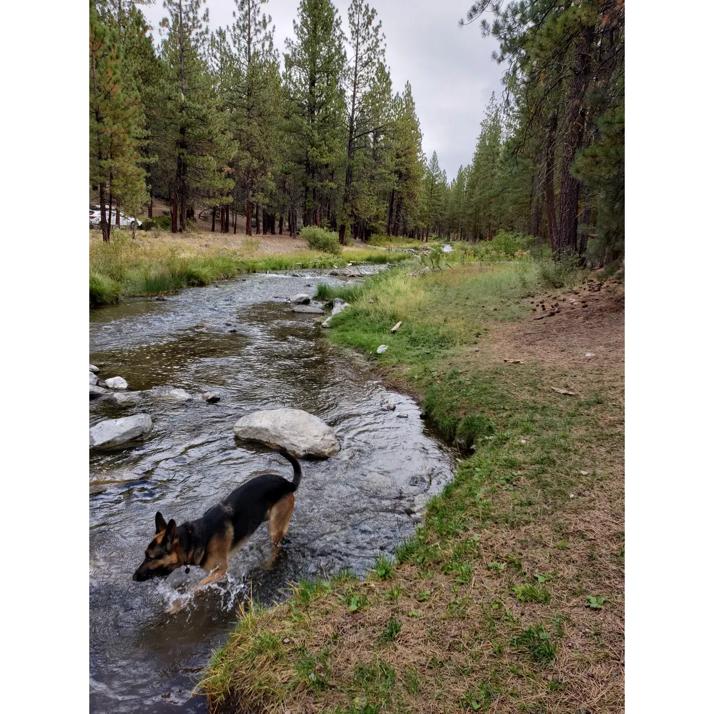 McKay Crossing Campground offers a delightful outdoor experience for visitors seeking a serene getaway amidst the wonders of nature. With a picturesque creek embellished by western columbines, it serves as the perfect refuge for camping enthusiasts at an affordable $15 per vehicle, ensuring a blend of economy and enchantment. This tranquil sanctuary allows guests to immerse themselves in the sounds of flowing water right from their campsite, particularly alluring at site number 8 in loop 1, where the proximity to the water amplifies the peaceful ambiance.

The campground is a fantastic destination for family outings, with the presence of friendly chipmunks adding a touch of wilderness charm. It boasts a primitive setup with ample opportunity for adventure, including a nearby waterfall where visitors can enjoy a refreshing swim or explore the hiking, biking, and horse trails. These paths lead adventurers to other swimming areas and the thrilling Paulina Plunge natural water slide.

Each site is equipped with a fire pit for a classic camping experience, and while amenities are basic, including various toilets and no running boat, the focus is on the natural environment and the joy of outdoor living. With an $18 nightly fee and the possibility of additional vehicles at $9 each, guests are encouraged to reserve online or take advantage of first-come-first-served options.

Despite the rugged approach on a challenging dirt road, the journey leads campers to a hidden spot characterized by its beautiful waterfall, inviting creek, and an overall sense of peace and tranquility. The campground's undisturbed setting is perfect for birding enthusiasts who can revel in the abundance of avian activity.

Budget-conscious travelers will appreciate sites priced at just $10 for a single vehicle, with the option to secure a prime location alongside a waterfall, ensuring a memorable and picturesque stay. McKay Crossing Campground is a treasured destination where simplicity meets natural beauty, promising an outdoor retreat that keeps visitors returning for more peaceful escapes. Description by ChatGPT.