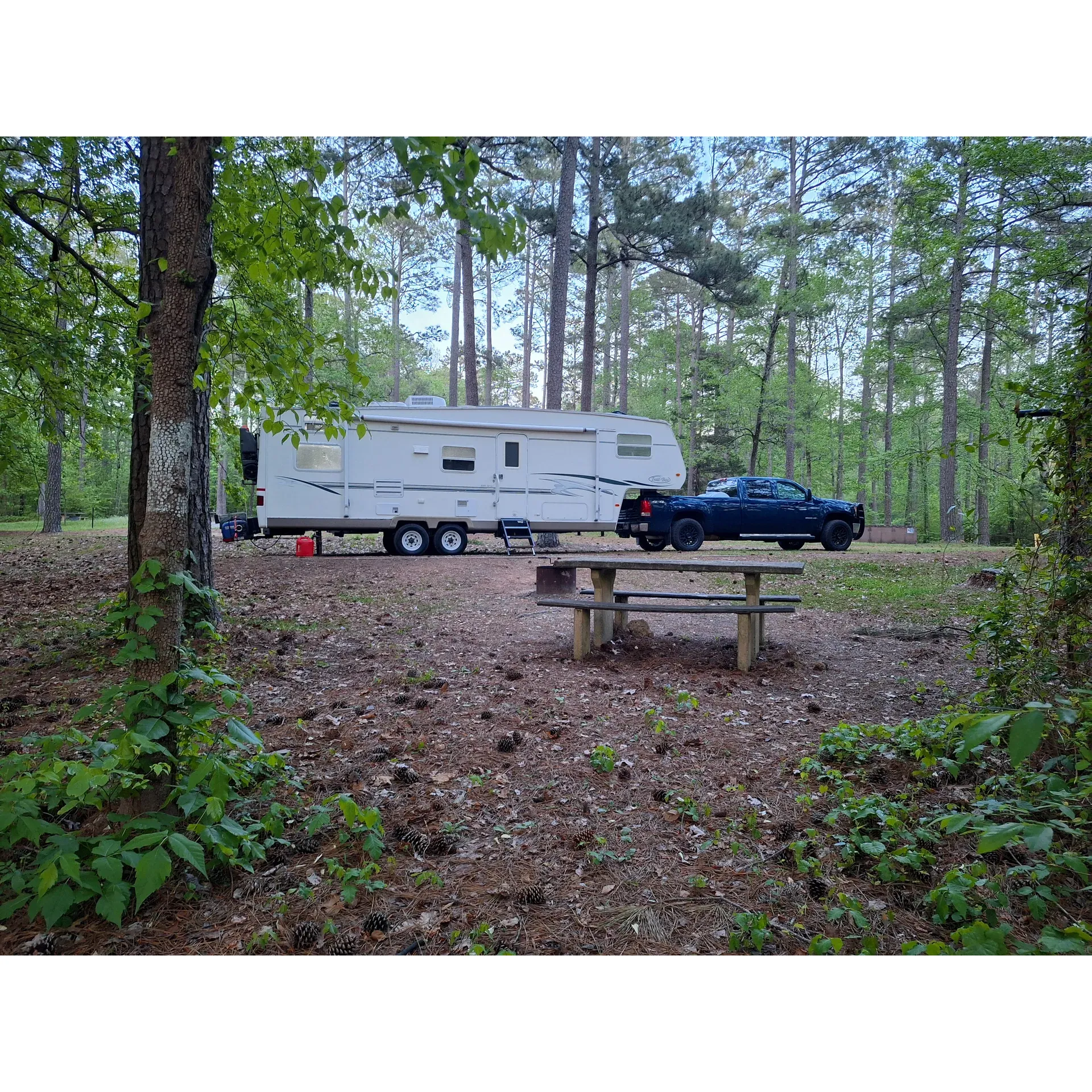 Brick House Campground is a tranquil and affordable escape for outdoor enthusiasts and travelers alike. Boasting a serene atmosphere, this campground is an ideal spot for those seeking a peaceful retreat in the great outdoors. The campground offers well-maintained facilities, including clean and functional pit toilets, ensuring a comfortable camping experience. 

With its proximity to the Palmetto Trail, guests are invited to enjoy easy hikes and walks amidst scenic surroundings, where larger trees offer shaded paths, enhancing the natural beauty of the area. The sites provide a great opportunity for campers to unplug and connect with nature, encouraging visitors to be self-sufficient by bringing their own power and water supplies.

Priced attractively at just $5 per night, the Brick House Campground is not only highly accessible but also a fantastic value. The campground's commitment to the environment is evident in its provision of recycling and trash bins, allowing guests to contribute to keeping the site clean and sustainable.

Whether passing through for a single night or settling in for a more extended stay, you'll find the campground to be an excellent spot for rest and recreation. Its easy access to the highway ensures convenience for travelers, while the surrounding nature offers a secluded haven to relax and rejuvenate away from the bustle of daily life. Description by ChatGPT.