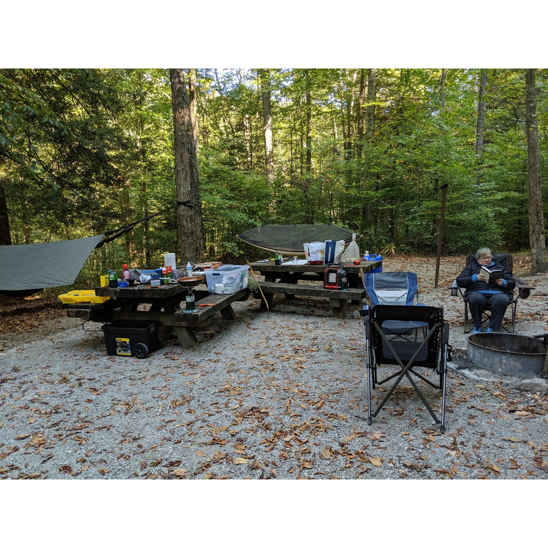 Turkey Foot Campground offers outdoor enthusiasts a serene retreat amidst the magnificent landscapes of the Blue Ridge Mountains. Surrounded by the beauty of a dense young forest, this campsite is a haven for tranquility and natural splendor, presenting an idyllic creek that meanders gracefully through the terrain.

The campground prides itself on providing an authentic rustic experience. It's an ideal location for those looking to unplug and unwind in a peaceful setting. Spacious and secluded sites ensure plenty of privacy, allowing visitors to immerse themselves in the quietude of their surroundings.

Given its location, Turkey Foot Campground is a prime spot for hiking enthusiasts and fishers alike, boasting picturesque trails and opportunities for trout fishing during select times of the year. The primitive amenities serve to enhance the traditional camping experience, with visitors invited to partake in 'pack in and pack out' camping.

Though the campground is more suited to tent camping and small campers, due to its lack of RV-friendly facilities, those with more compact RVs, like a 27-foot model, have managed to access the grounds with a bit of careful maneuvering. Once settled, campers can enjoy a stay undisturbed by the hustle and bustle of traffic, ensuring a tranquil daytime atmosphere.

For those seeking a simple and nature-focused respite, Turkey Foot Campground offers just that, complemented by basic facilities such as pit toilets for added convenience. It stands out for its quiet, natural environment, delivering an authentic outdoor experience that reconnects its visitors with the wilderness. Description by ChatGPT.