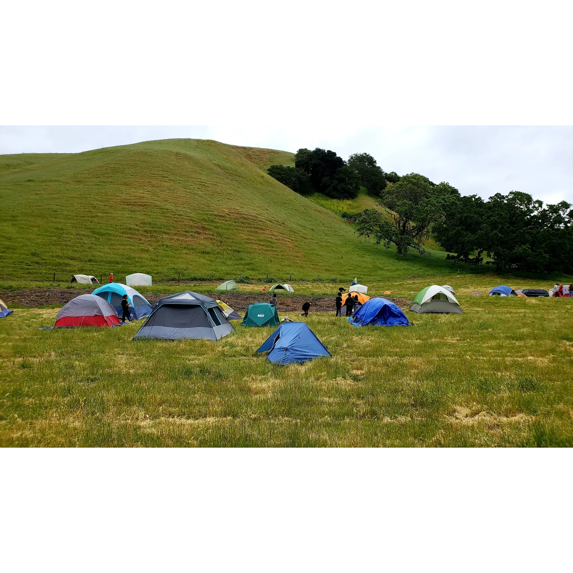 The Maud Whalen Group Campsite is a serene and beautiful outdoor retreat perfect for group camping experiences. Surrounded by the wonders of nature, it offers an array of wildlife sightings that include majestic hawks soaring overhead, the gentle grazing of cows on the lush green fields, and the occasional encounter with wild turkeys, newts, and snakes, bringing campers closer to the natural world.

The campsite is a gem for those looking to immerse themselves in a rustic outdoor adventure. With a short hike that serves as a delightful introduction to the area's natural beauty, visitors are welcomed into a spacious setting that catulates the essence of the great outdoors. Boasting ample picnic tables, the site provides the ideal setting for a daytime picnic or gathering, free of charge when not reserved, perfectly blending recreational activities with the tranquility of the environment.

For those staying overnight, the site features a sturdy shelter that provides a cosy respite from the elements. Here, campers can kindle a fire, share stories, and create memories in the warmth of good company. The location offers basic amenities, including water access and outhouses, to ensure the comfort of all guests.

As a group campsite, it also provides ample space for larger parties to connect and enjoy the camaraderie of collective camping. The expansive fields and open skies above make for an unforgettable stargazing experience, further enhancing the enchanting nature of this rustic getaway.

Whether seeking a day trip filled with nature-watching and picnicking or an overnight camping adventure with a group of outdoor enthusiasts, Maud Whalen Group Campsite is an inviting and picturesque destination to disconnect from the hustle of modern life and reconnect with the earth's natural rhythms. Description by ChatGPT.