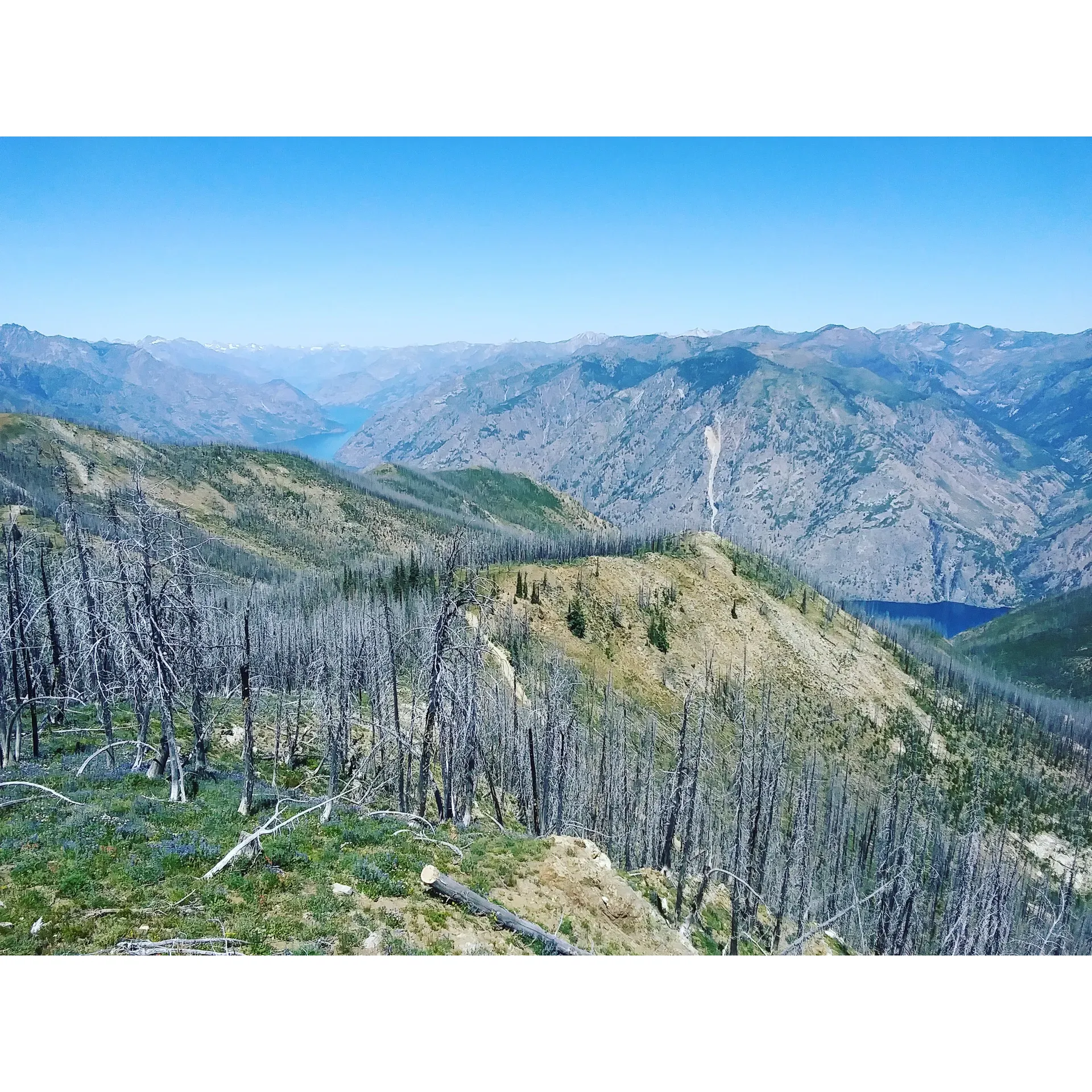 Junior Point Campground is a beautiful outdoor retreat that boasts breathtaking panoramic views of Lake Chelan, offering visitors a unique opportunity to immerse themselves in nature. Renowned for the picturesque landscapes surrounding the location, guests can enjoy a serene getaway that elevates the traditional camping experience. The well-maintained access road leading to the campgrounds ensures a safe journey, although an adventure awaits as the road provides an exciting sense of remoteness as you approach your destination.

Once arrived, campers can settle into a tranquil environment where the expansive skies meet the pristine waters of Lake Chelan, delivering a perfect backdrop for memorable camping trips. Well-spaced sites provide ample privacy and room to revel in the ambience of the great outdoors. It's the ideal spot for nature lovers and outdoor enthusiasts to connect with the environment.

Adventurers can gear up for a day filled with hiking, fishing, and wildlife watching, later to return to the comfort of their campsite where they can relax and share stories under a canopy of stars. With an emphasis on simplicity and the raw beauty of the Chelan region, Junior Point Campground provides the essentials for campers to make the most of their outdoor adventure, making it a sought-after destination for those looking to unwind and enjoy nature's splendor. Description by ChatGPT.