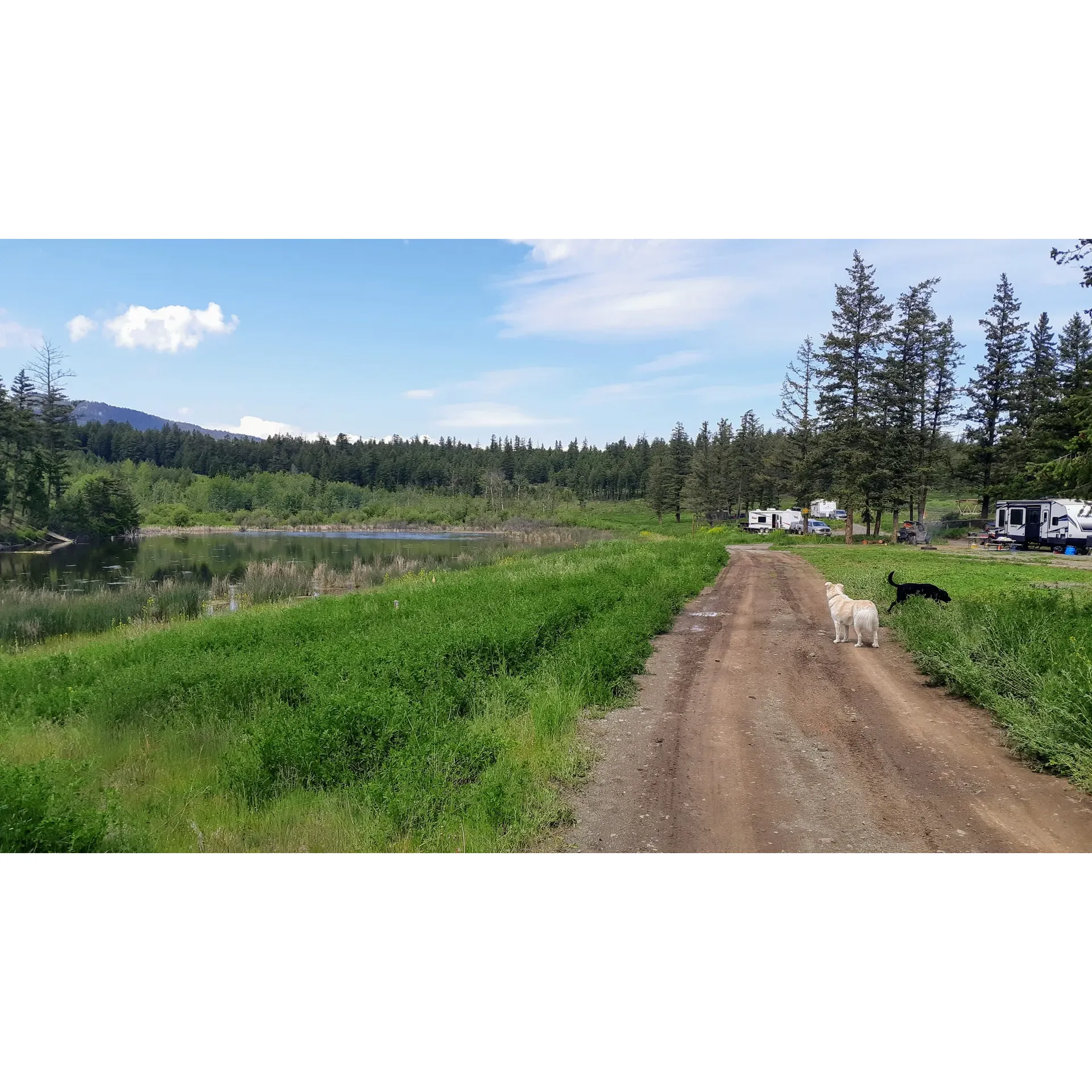 Pendleton Creek Recreation Site is a scenic forestry campground offering an authentic and peaceful outdoor experience. Located conveniently within a 20-minute drive from Kamloops and Savona, this beautiful setting provides an ideal get-away for campers and outdoor enthusiasts looking to immerse themselves in nature.

The recreation site has recently expanded to accommodate more visitors, with 20 clean and level camp spots ready for tents or RVs without the need for hookups, allowing guests to enjoy a more traditional camping experience. It is praised for being well-maintained, with immaculate camp spots and clean toilet facilities, ensuring a comfortable stay for all.

One of the site's most significant attractions is the abundance of off-road vehicle (ORV) trails surrounding it, making it a premier destination for explorers and adventure-seekers alike. With many kilometers of trails, riders can spend hours traversing the diverse terrain without exhausting the possibilities for exploration and adventure.

For those seeking solitude, Pendleton Creek Recreation Site offers the chance to have large areas of the park to oneself, ensuring a serene retreat amidst nature. Visitors have repeatedly chosen to stay here and revel in the tranquility of the pristine environment.

An added bonus for guests is the accessibility of full cell service just outside the recreation site, allowing you to stay connected while still enjoying the escape from everyday life.

Overall, Pendleton Express Recreation Site is a delightful spot where guests are guaranteed to have a lot of room and a lot of fun, creating lasting memories with each visit. Whether you're looking to camp, ride, or simply relax in a quiet, clean, and picturesque environment, this recreation site has something to offer for everyone. Description by ChatGPT.